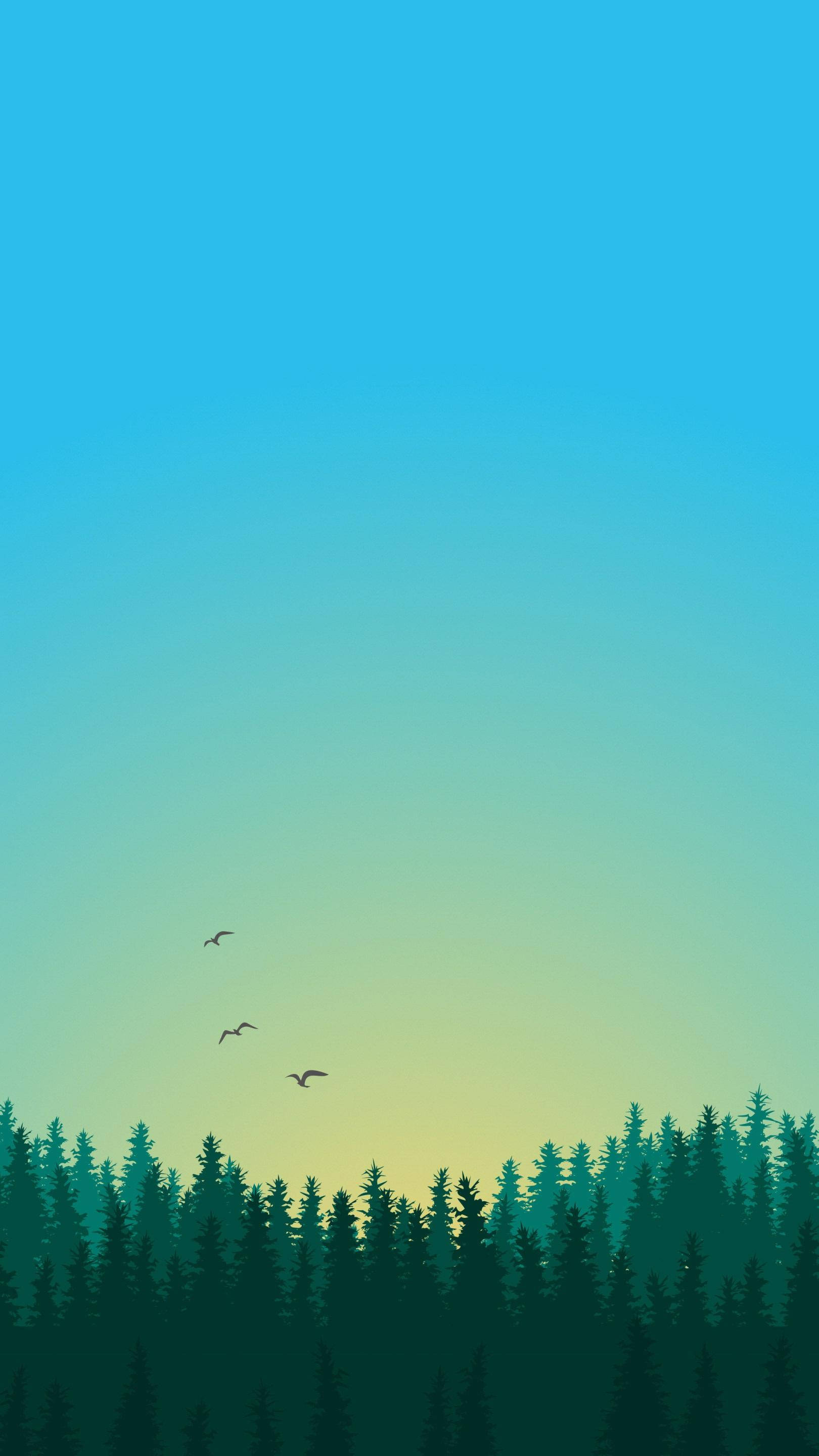 松林夕照極簡安卓壁紙 壁紙 — 漸變天空下的松樹林剪影，三隻鳥排成隊形飛翔。