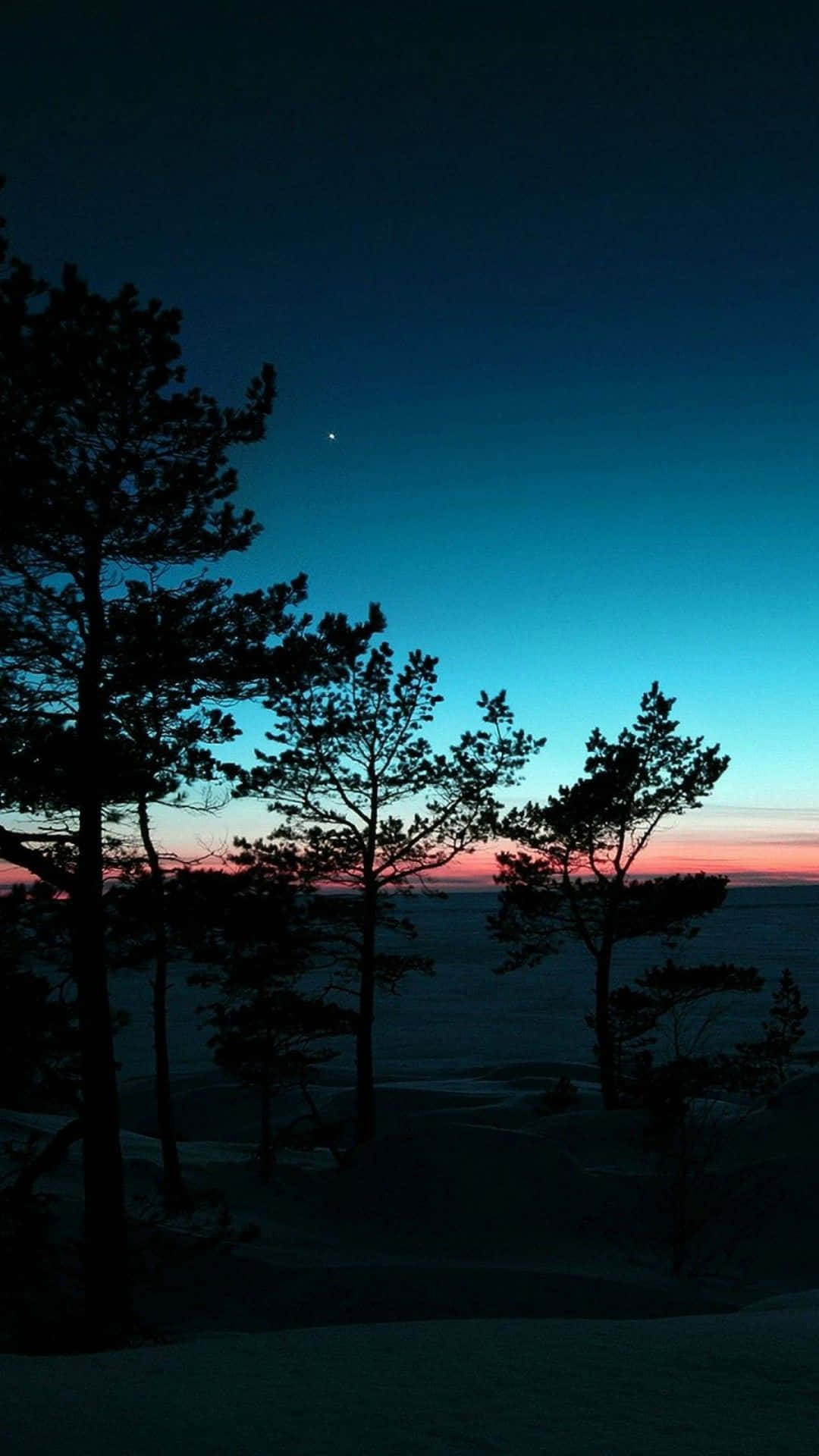 松樹剪影映襯著暮色天空，帶有藍色和粉紅色調，覆蓋在雪地上。
