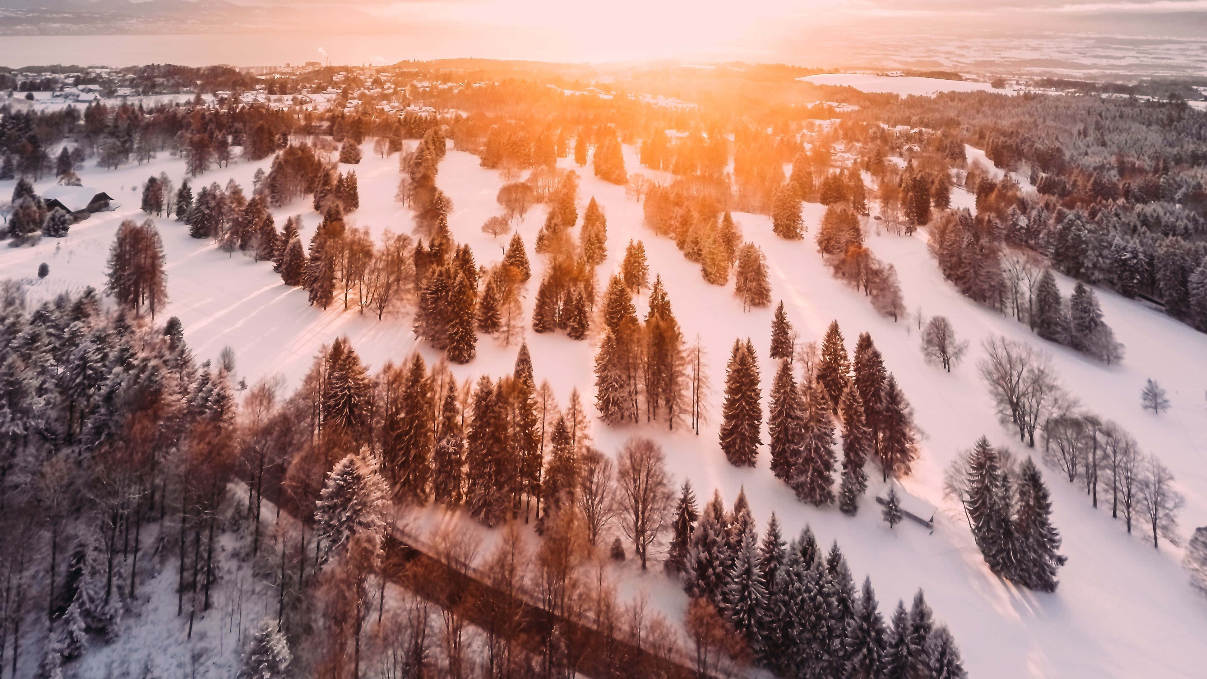 松樹雪地背景 壁紙 — 白雪覆蓋的森林和山丘沐浴在金色日落光芒中的航拍視圖，遠處有村莊。