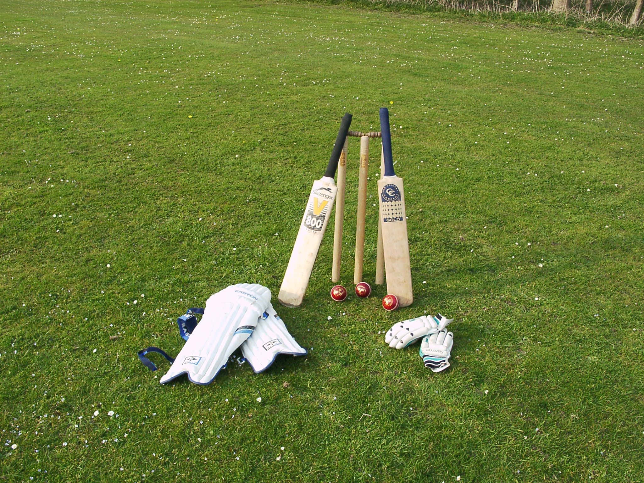 Cricket 桌布 壁紙 — 板球裝備，包括球棒、護墊、手套和球，放置在點綴著小白花的鮮綠色草地上。