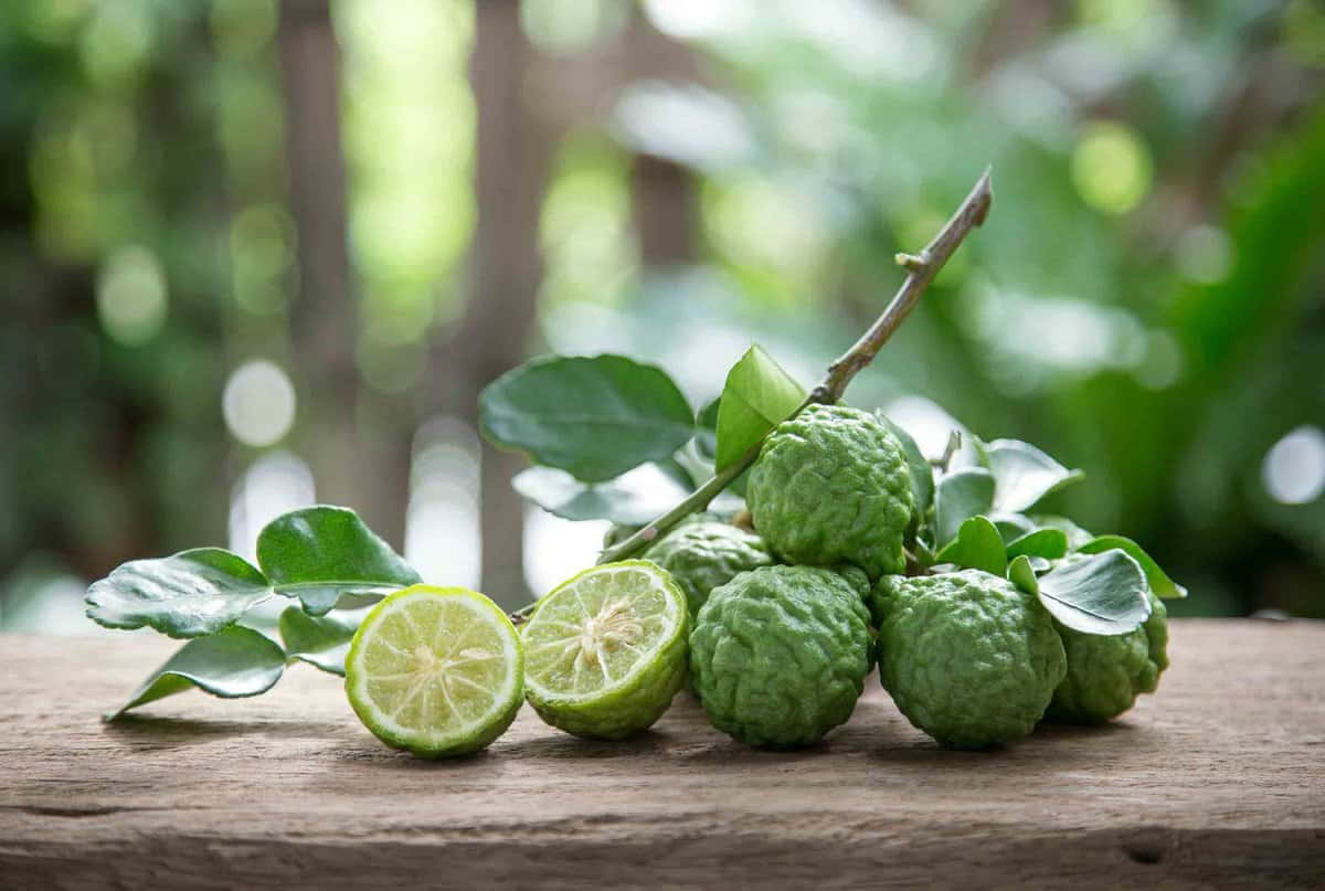 枝頭上的切開香茅檸檬 壁紙 — 新鮮嘅青檸（kaffir lime）有一個切開咗，放喺風化嘅木質表面上，背景係茂密模糊嘅花園。
