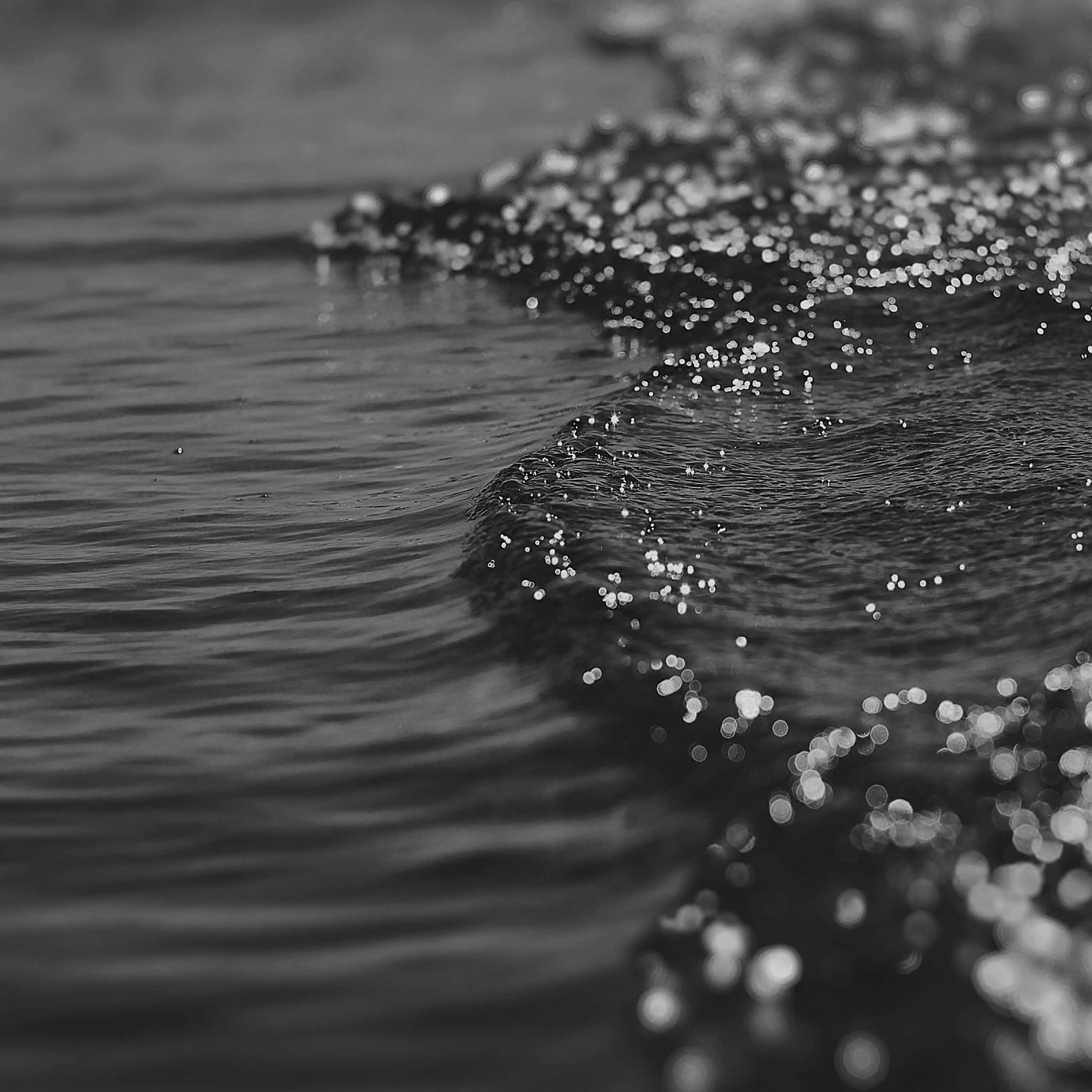 Black And White Ocean 桌布 壁紙 — 柔和嘅海浪近距離單色特寫，帶有閃爍水珠，背景係輕柔模糊嘅海岸線。
