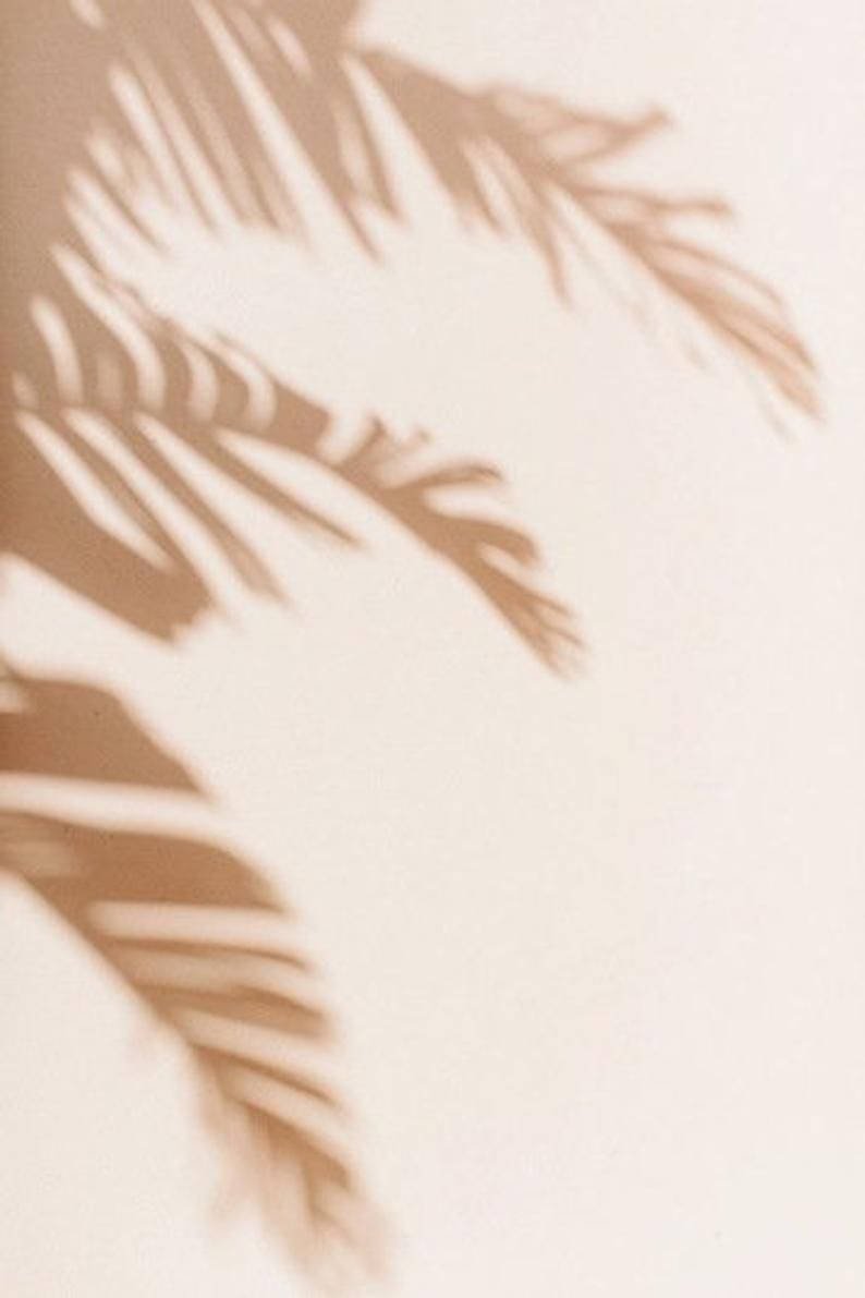 Leaves 桌布 壁紙 — 柔和嘅米色棕櫚葉陰影喺溫暖自然光下點綴喺素色牆上。