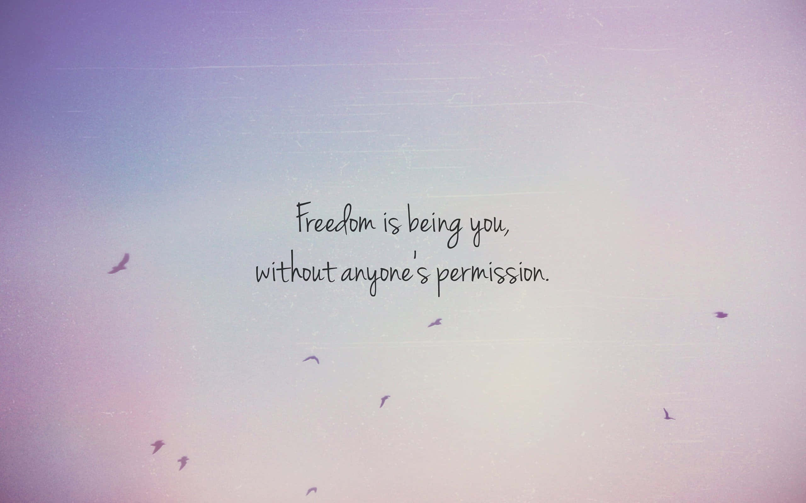 Freedom 桌布 壁紙 — 柔和嘅粉彩天空，有雀仔飛緊，同時有一句關於自由嘅手寫語句輕輕咁飄過畫面。