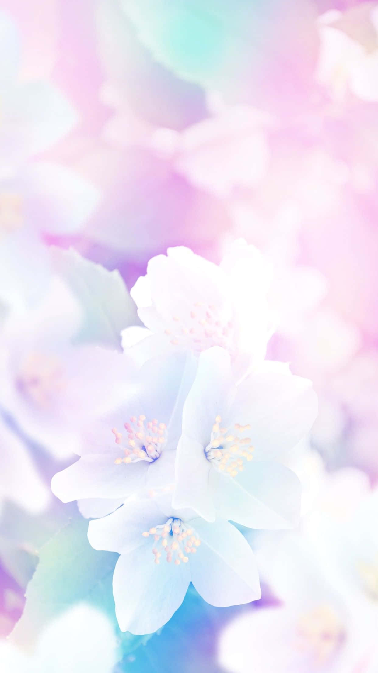 Spring Pastel 桌布 壁紙 — 柔和嘅粉彩花朵喺粉紅、藍色同薰衣草色調嘅夢幻漸變天空下輕輕綻放。