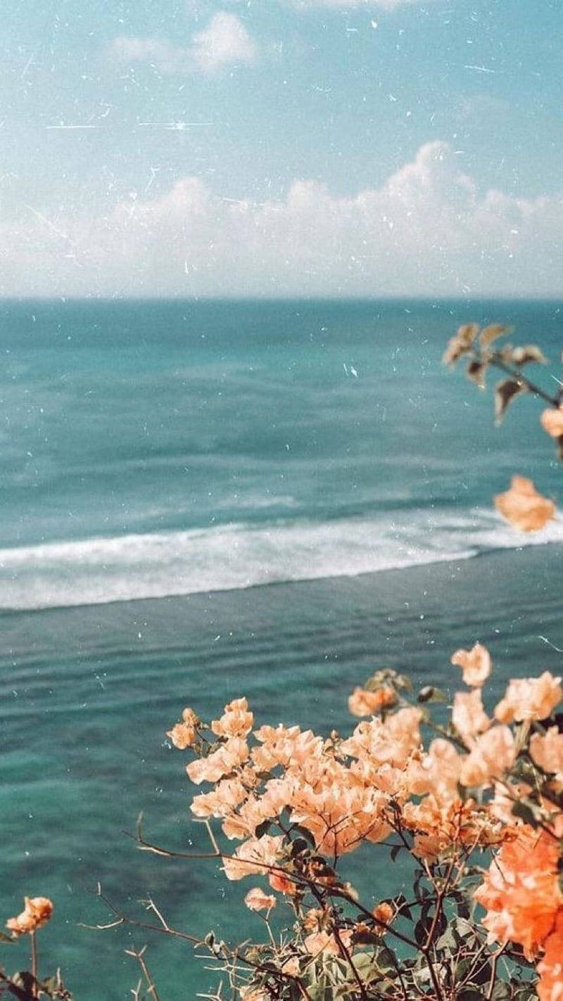 Vintage Aesthetic 桌布 壁紙 — 柔和桃色花朵框住寧靜的藍綠色海洋，天空柔和藍色帶有縷縷白雲。