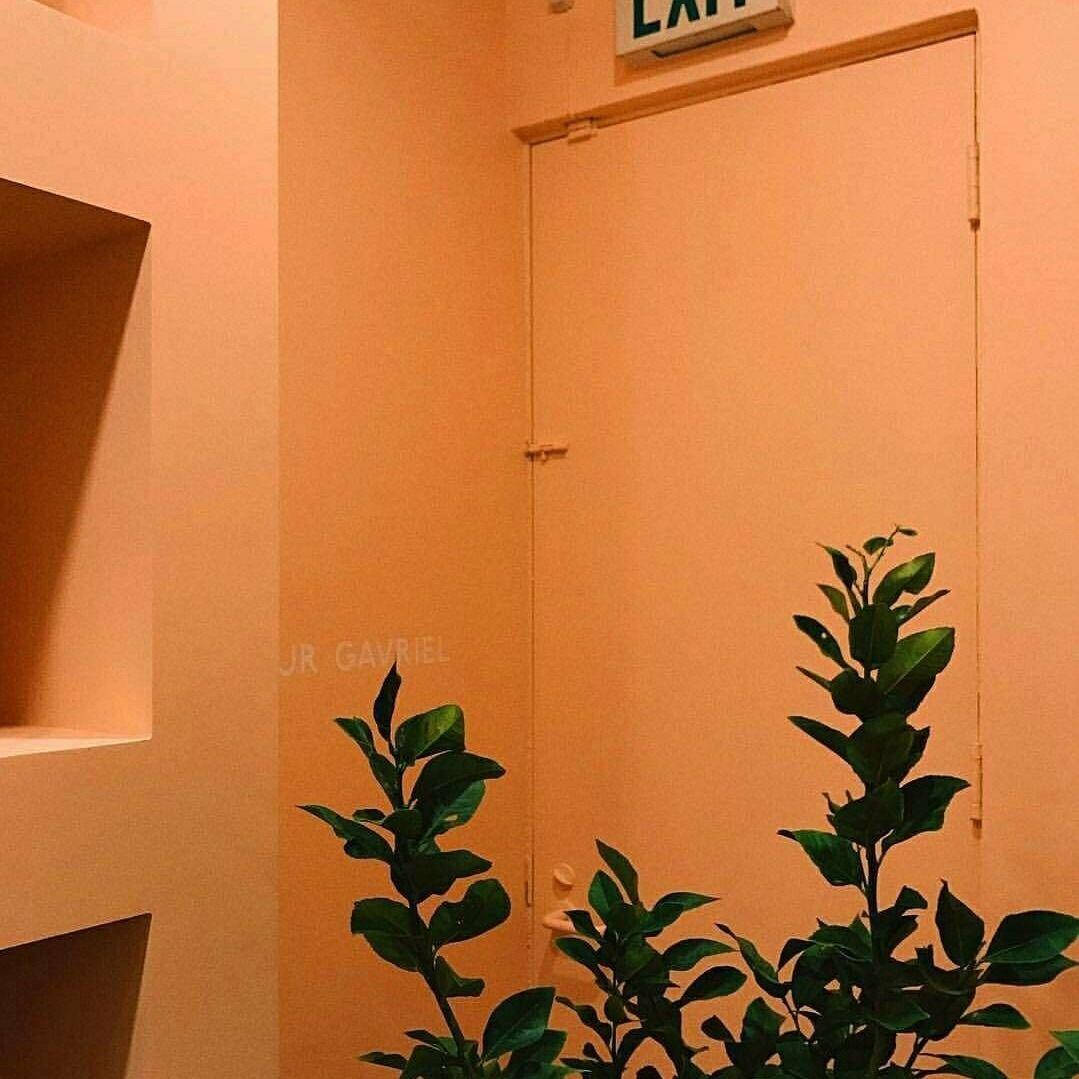 柔和橙色美學門與牆 壁紙 — 溫暖的桃色牆壁框住一扇關閉的門，帶有出口標誌和茂盛的綠色植物，營造出極簡主義的室內設計。