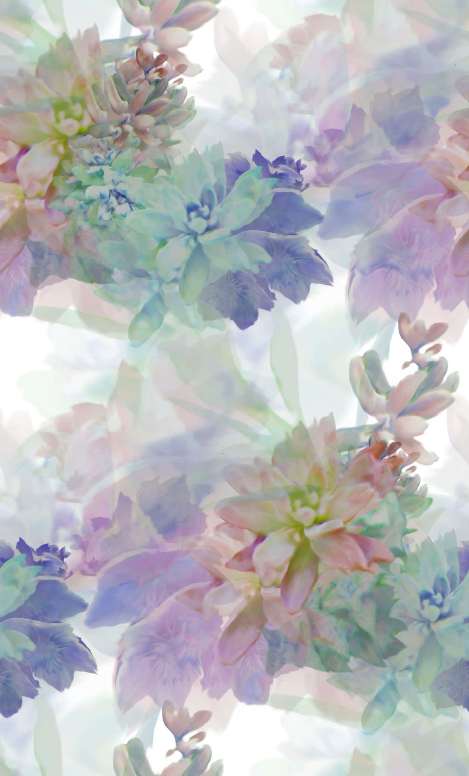 Spring Pastel 桌布 壁紙 — 柔和的粉彩多肉植物在明亮的白色背景上以夢幻般的重疊層次綻放。