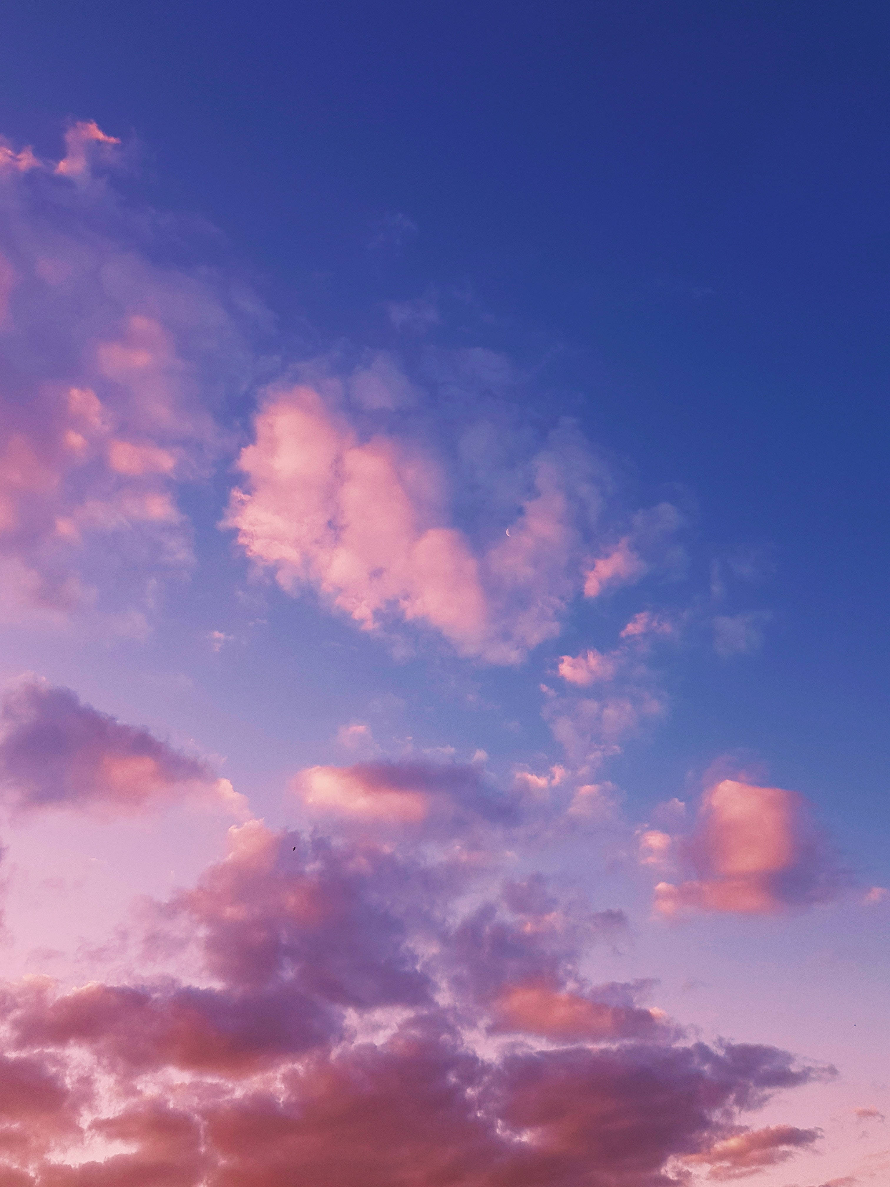 Clouds Aesthetics 桌布 壁紙 — 柔和的粉紅雲朵飄過深藍色的暮色天空，呈現寧靜的日落場景。