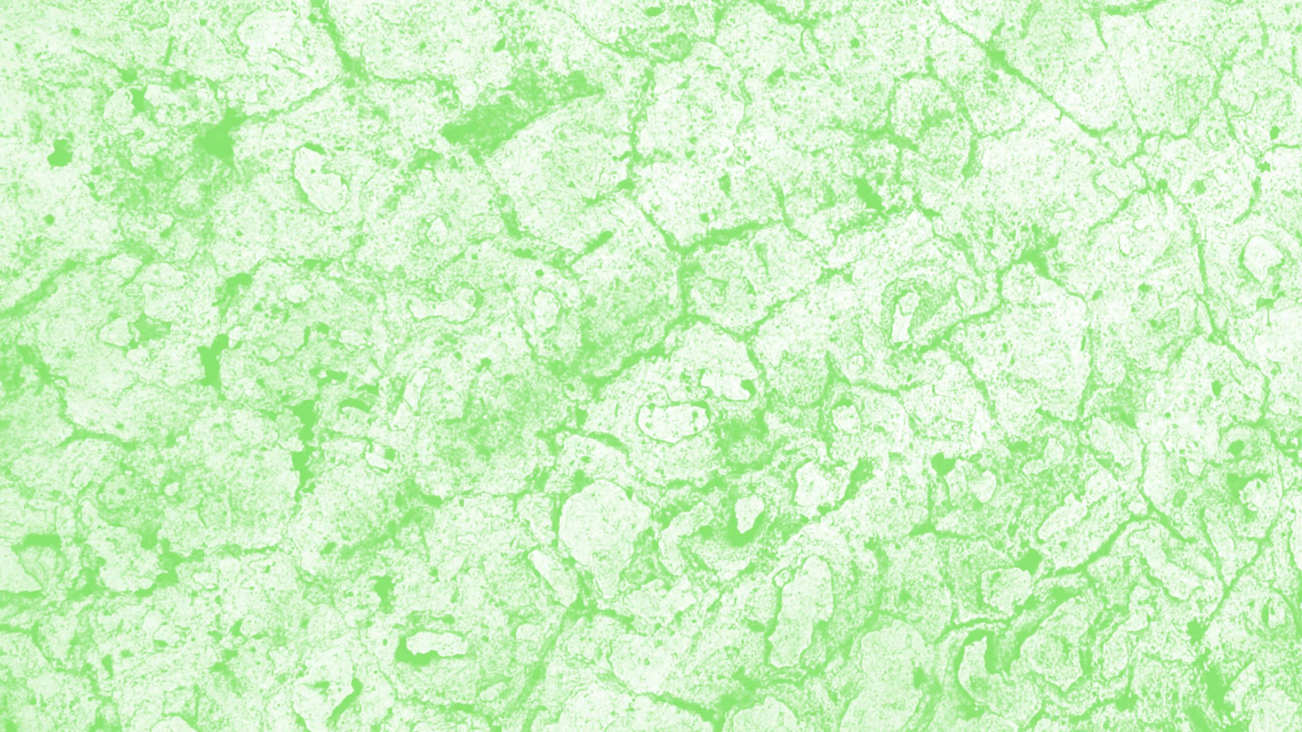 Green Texture 桌布 壁紙 — 柔和的綠色抽象紋理，帶有漩渦圖案和斑點白色亮點。