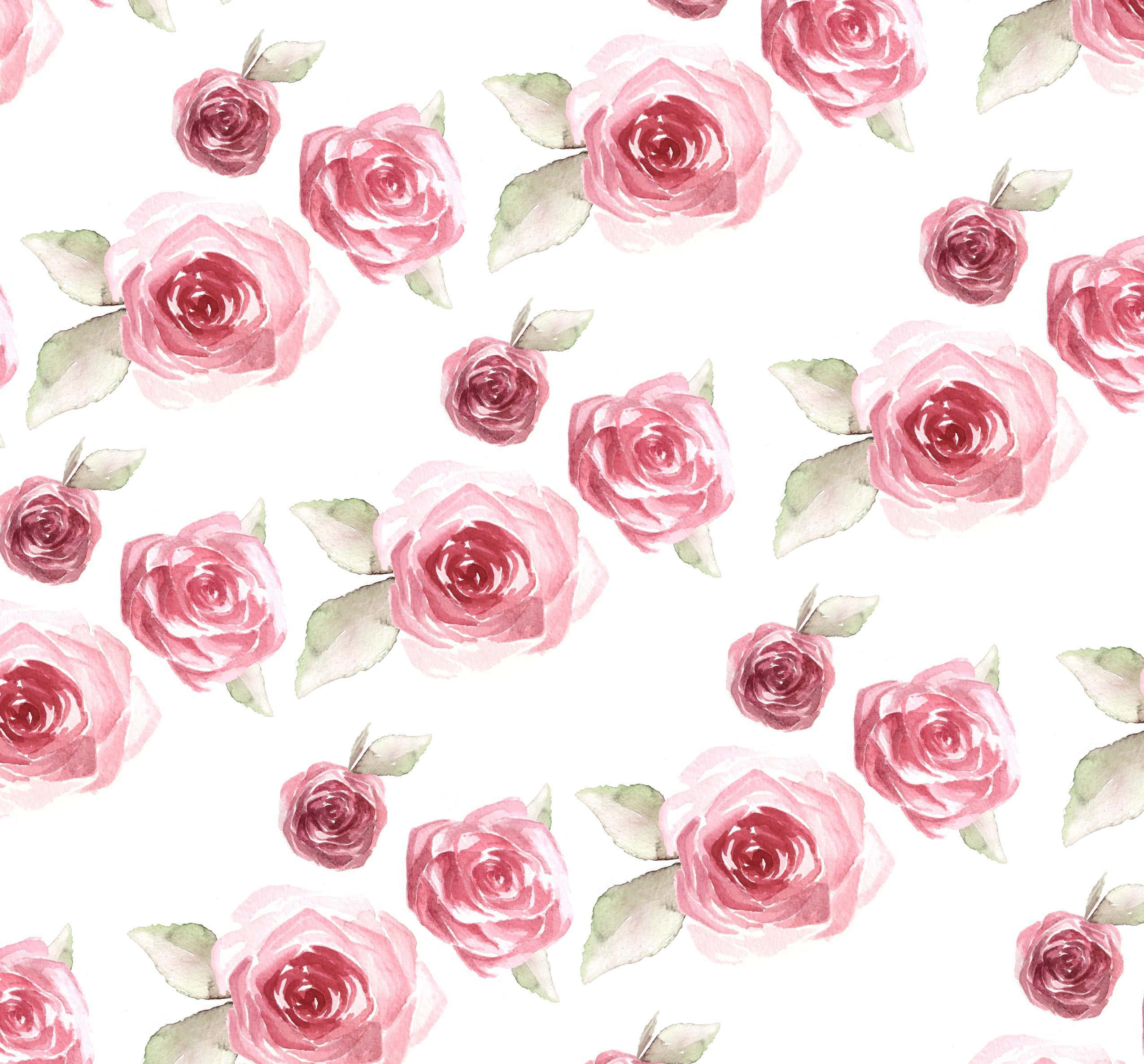 Rose Art 桌布 壁紙 — 柔和粉紅色水彩玫瑰，配以綠色葉子，散落在潔白背景上。