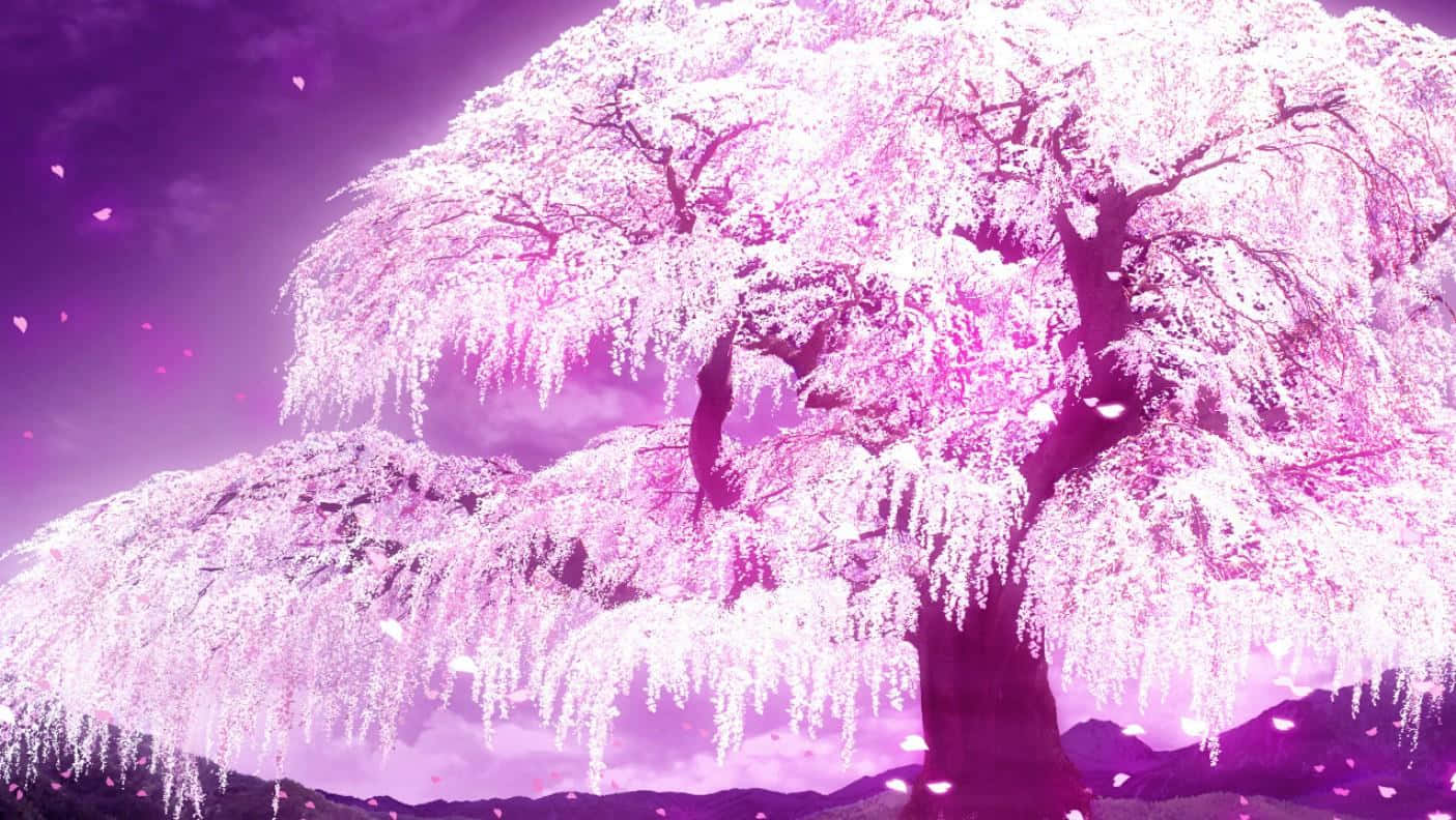 柔美甜美——粉紅動漫桌面背景 壁紙 — 一棵雄偉的垂枝櫻花樹在暮色天空下盛開著燦爛的粉紅色，花瓣飄落。