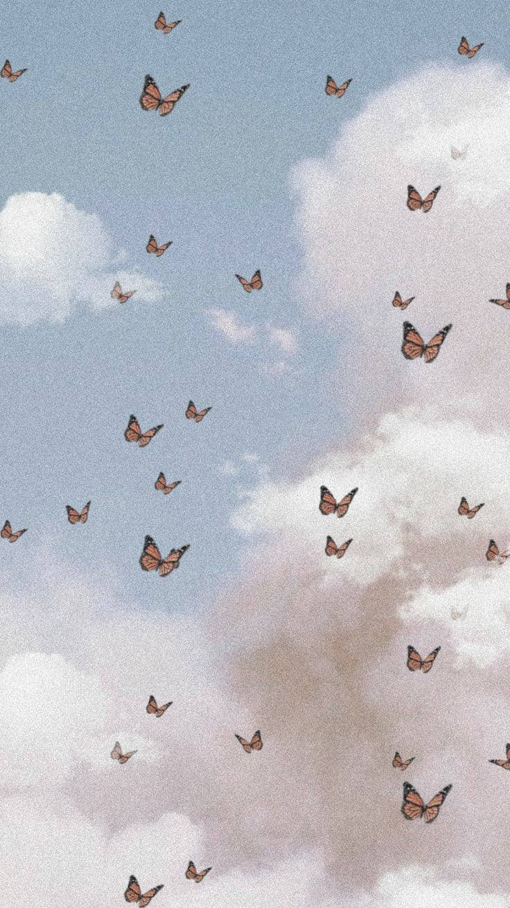 蝴蝶在蓬鬆的雲朵間飛翔，天空柔和。