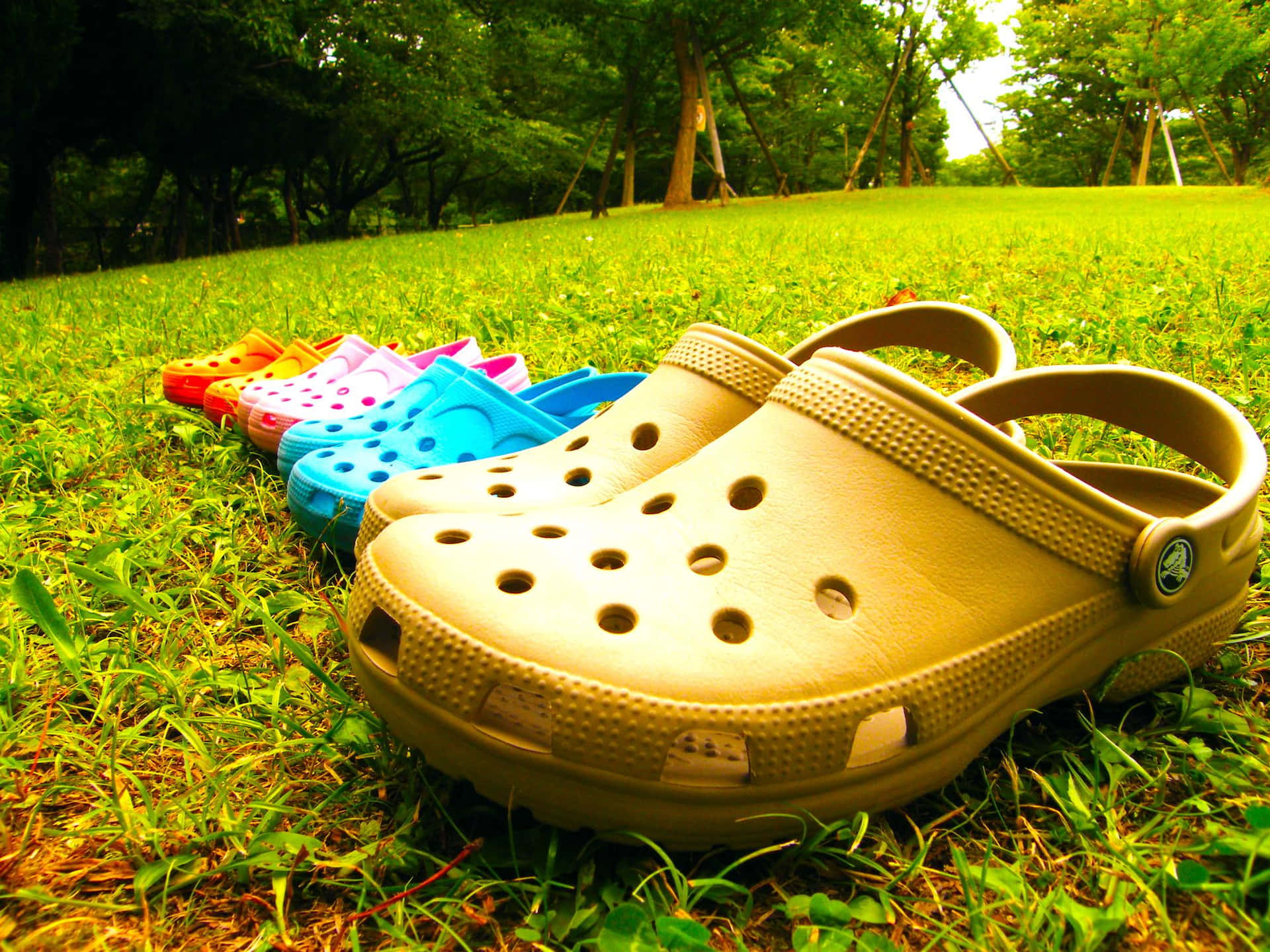 色彩繽紛的Crocs鞋排列在草地上，後面有樹木。