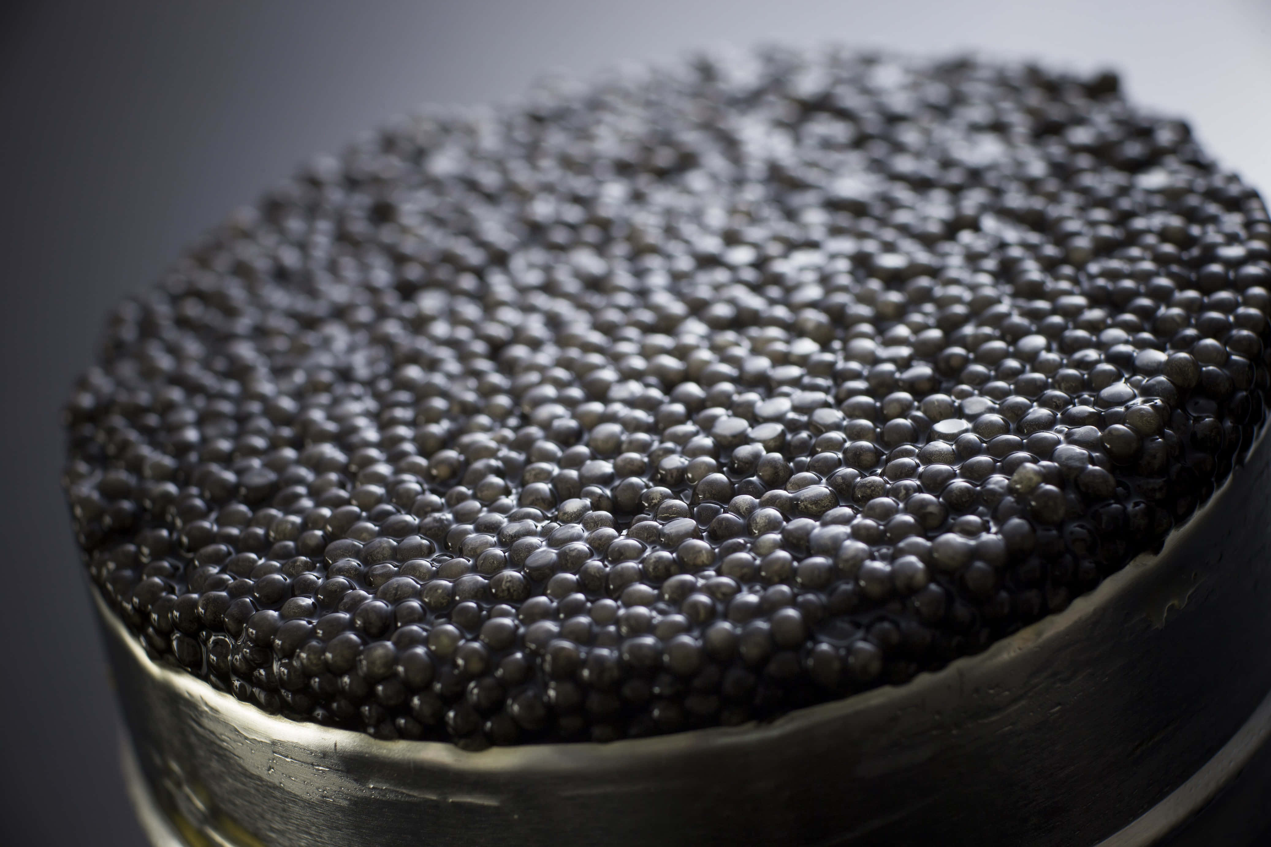 Black Caviar 桌布 壁紙 — 柔軟灰色背景上，金屬碗中緊密排列的閃亮黑色魚子醬特寫。