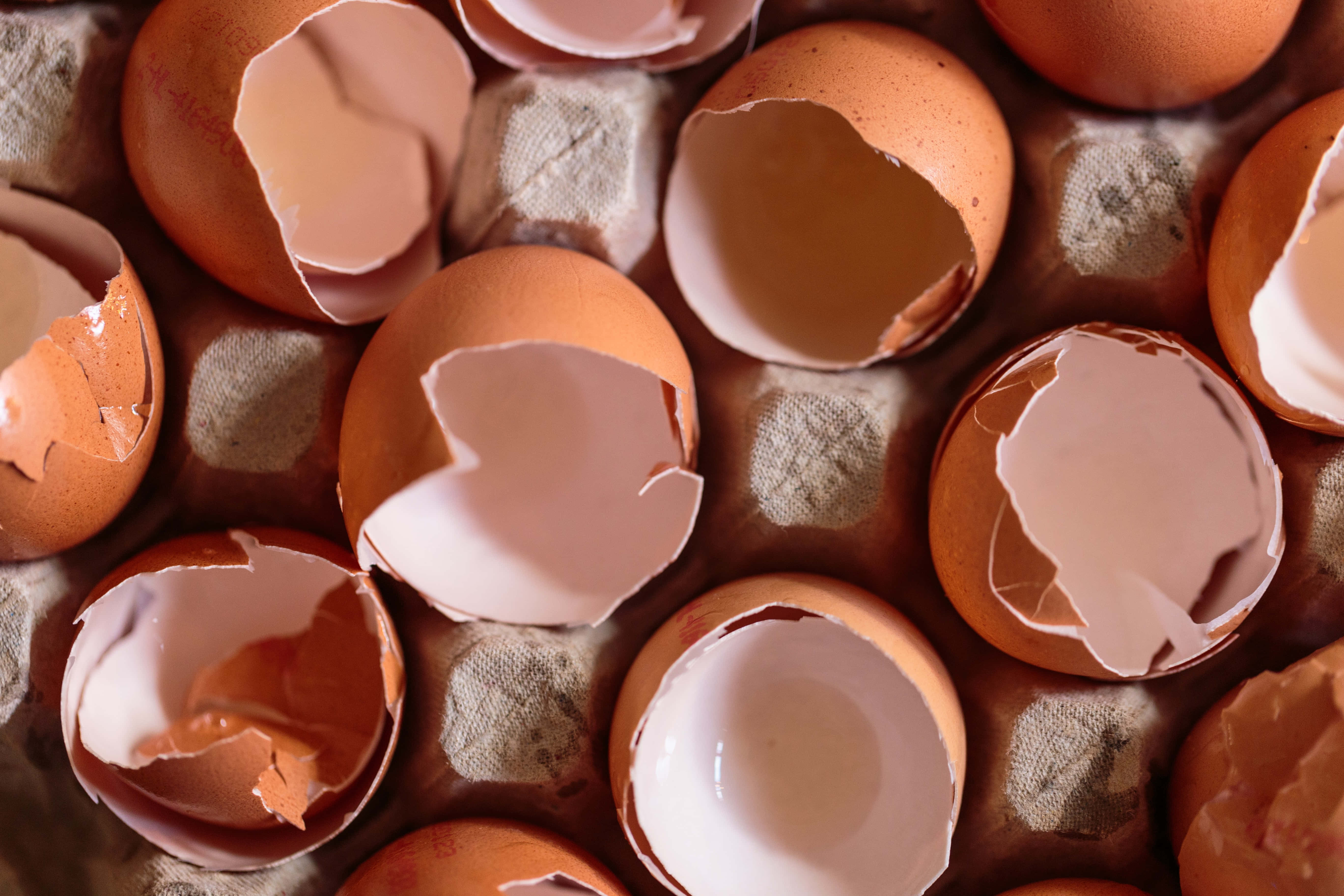 Brown Eggs 桌布 壁紙 — 柔軟燈光下，破裂的棕色蛋殼散落在有紋理的紙板雞蛋盒上的特寫。