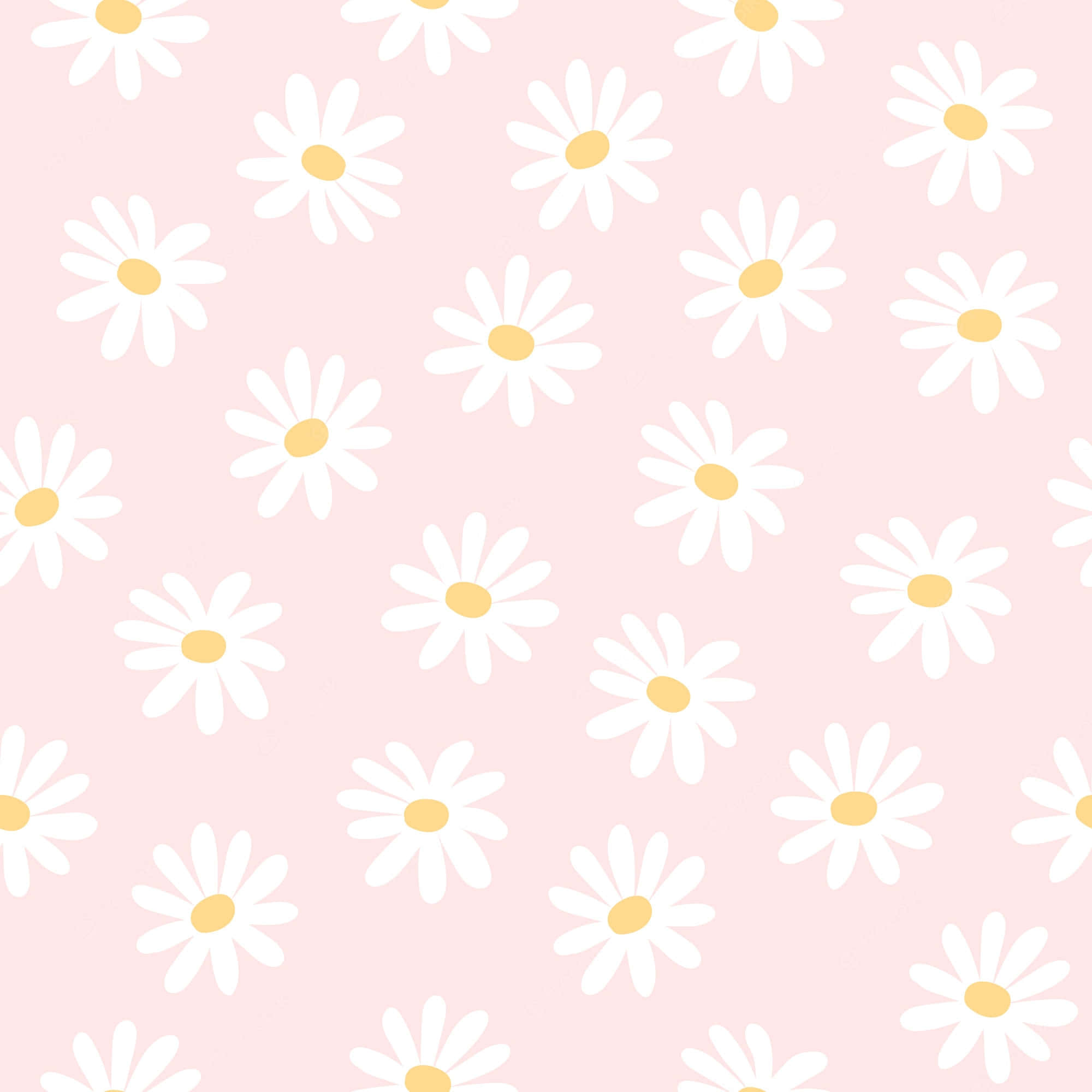 Cute Flower 桌布 壁紙 — 柔軟的粉紅色背景，飾有重複的白色雛菊，黃色花心，呈現俏皮的散落圖案。
