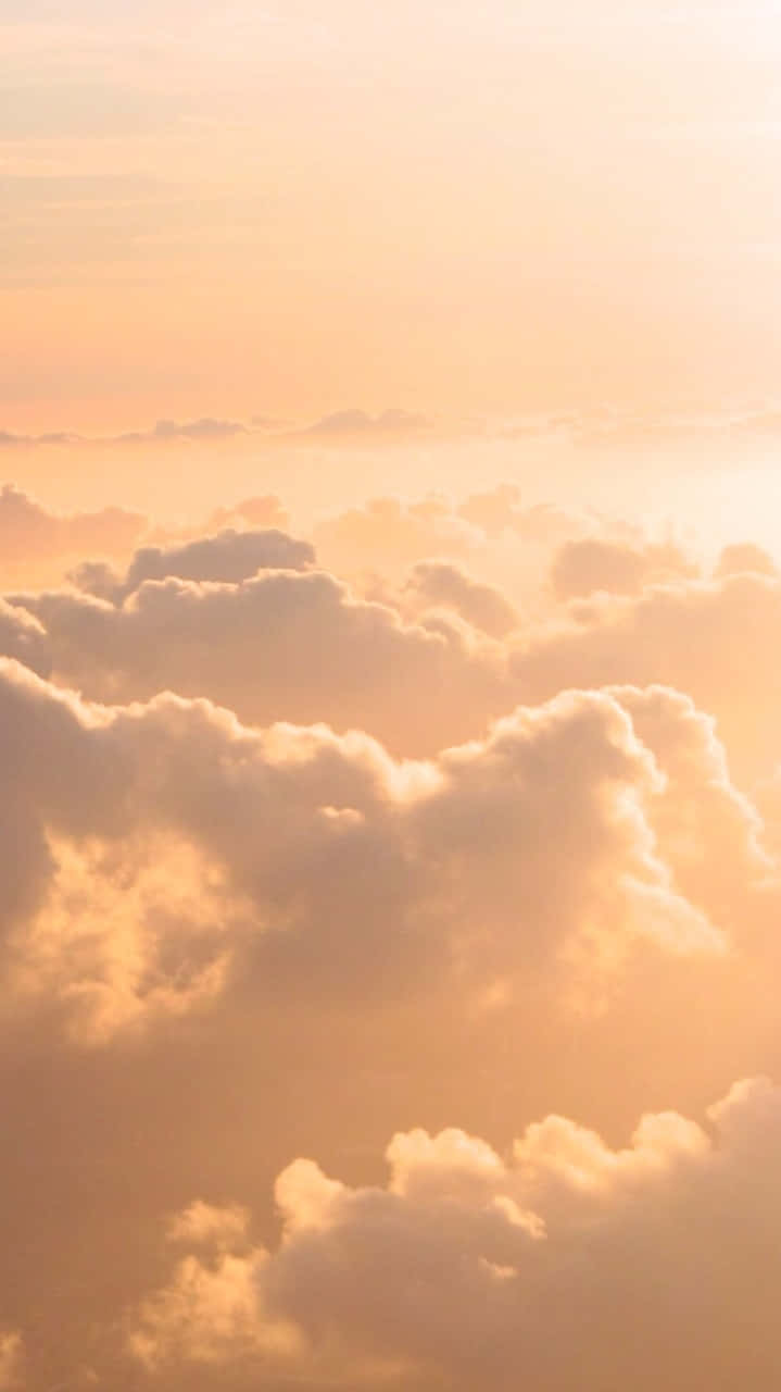 Yellow Sky 桌布 壁紙 — 柔軟的金色雲朵在日出或日落時溫暖發光的天空中飄移。
