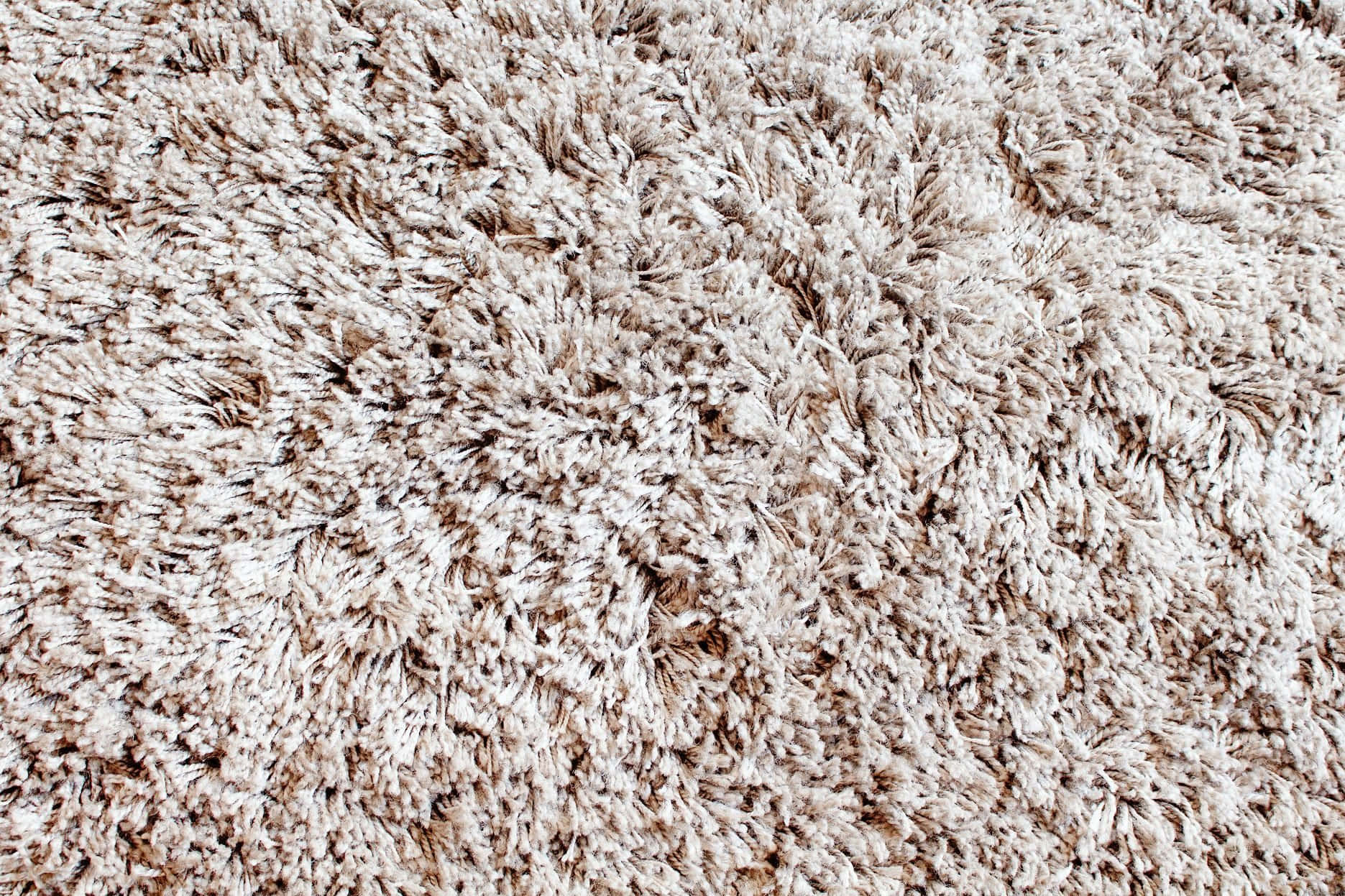 Carpet Texture 桌布 壁紙 — 柔軟米色地毯的特寫，帶有柔軟紋理纖維，營造出舒適的觸感表面。