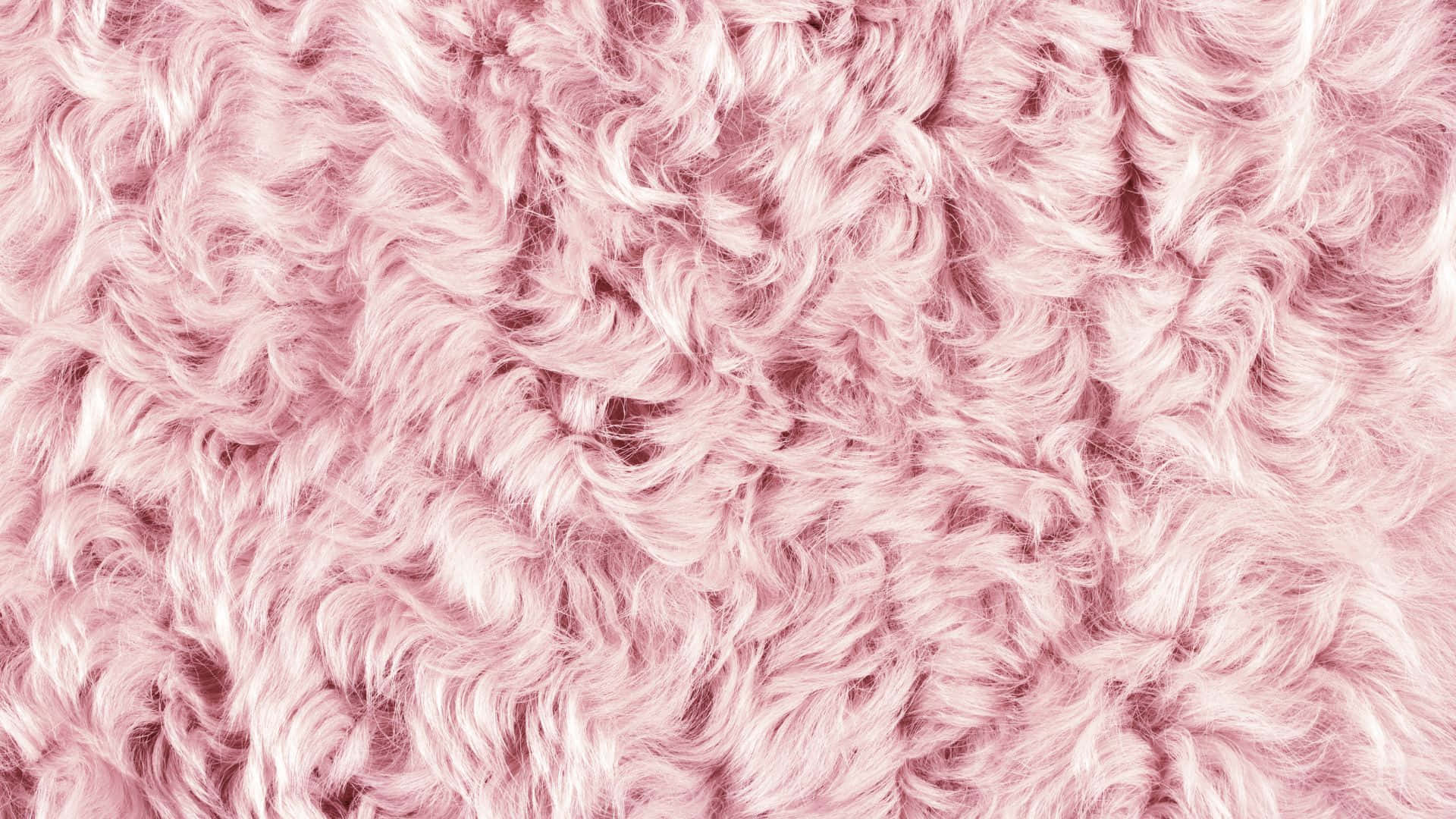 Pink Pattern 桌布 壁紙 — 柔軟粉紅色絨毛的近距離特寫，帶有柔和波浪和細微的光線變化。