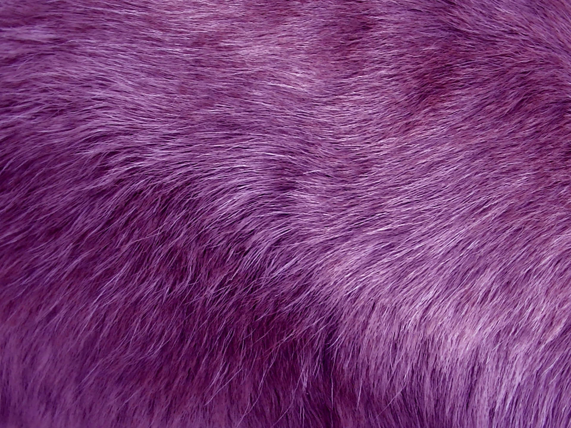Purple Fur 桌布 壁紙 — 柔軟紫色仿皮草的近距離特寫，帶有柔順流動的纖維和細微的光線反射。