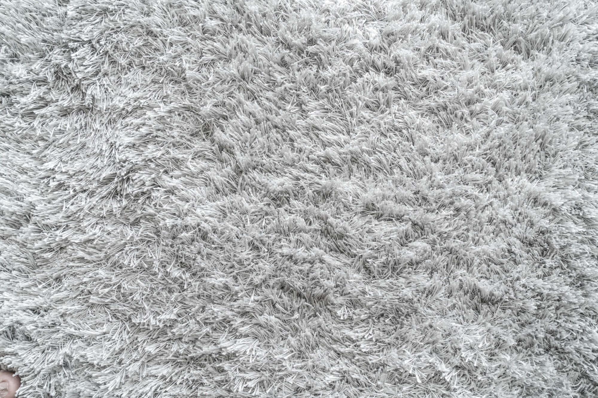 Carpet Texture 桌布 壁紙 — 柔軟蓬鬆灰色長絨地毯的特寫，帶有紋理纖維和細微的光線變化。