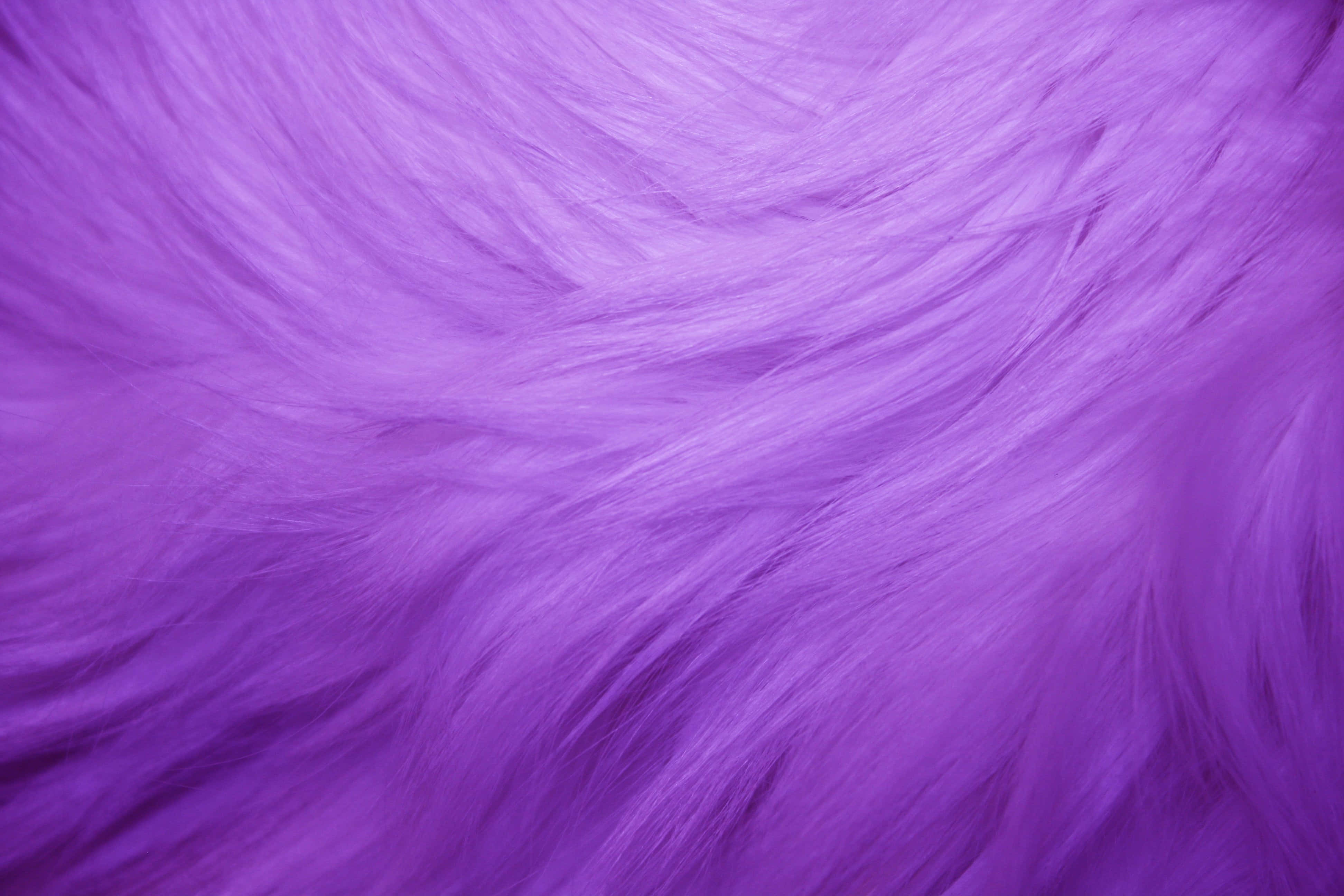 Purple Fur 桌布 壁紙 — 柔軟蓬鬆紫色毛皮的近距離特寫，帶有柔和波浪和細微的色彩漸變。