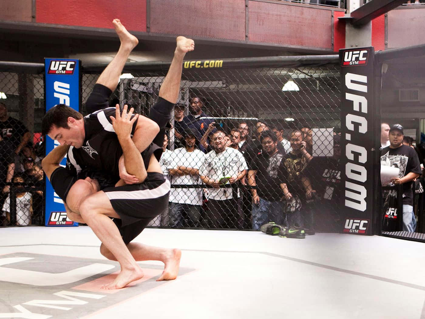 兩名MMA拳手在UFC八角籠內進行摔跤比賽。