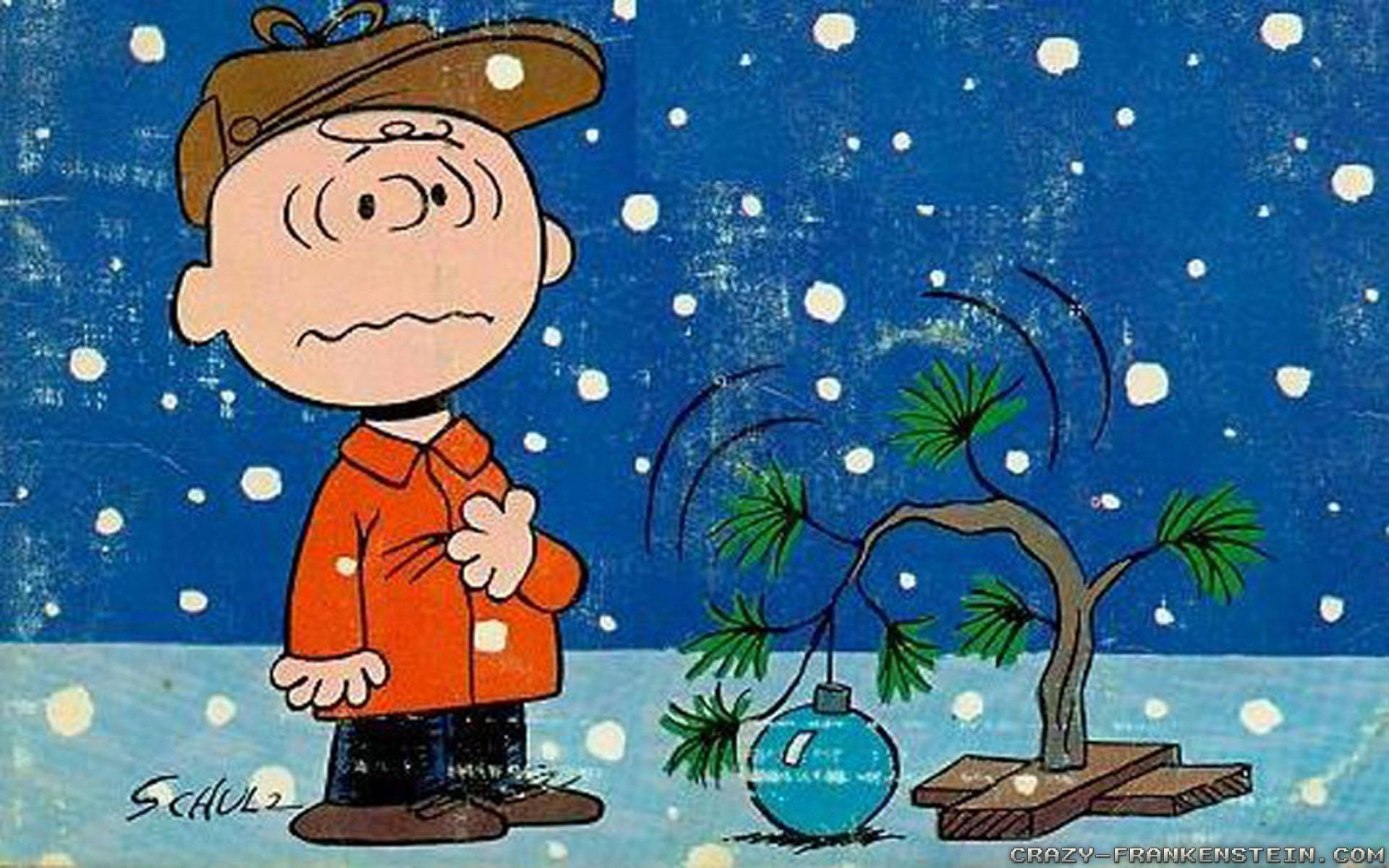 查理布朗在雪中看著他的小聖誕樹，顯得失望。