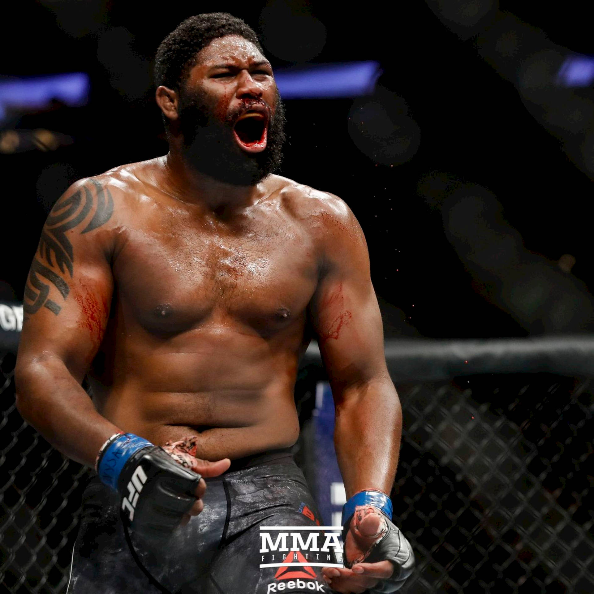 MMA拳手在八角籠內以血跡斑斑的臉和張開的嘴慶祝勝利。