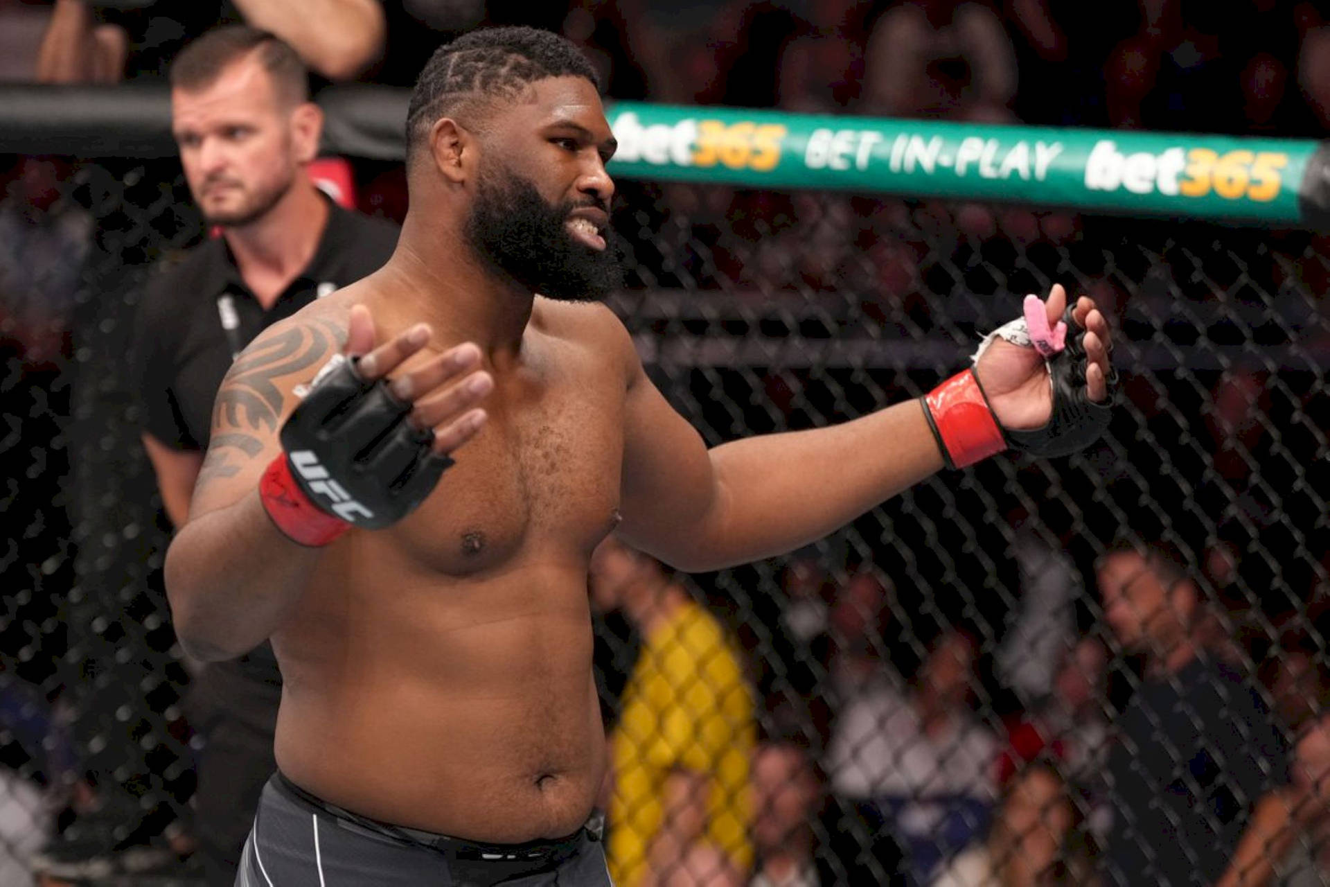 一位UFC鬥士在八角籠內高舉雙臂慶祝勝利。
