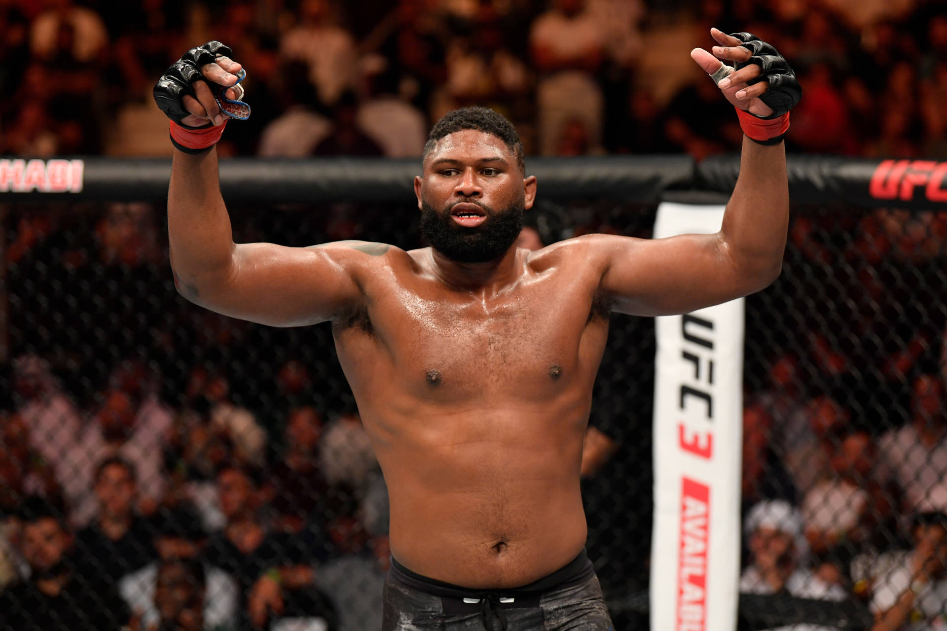 UFC拳手在八角籠中高舉雙臂慶祝勝利。