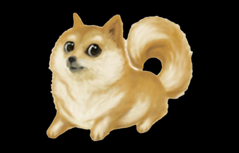 柴犬迷因插畫 壁紙 — 一隻毛茸茸的淺棕色狗，有大圓眼睛和捲曲的尾巴，坐在黑色背景前。