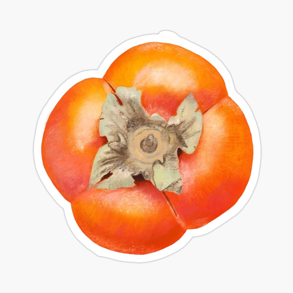 柿子果實插畫 壁紙 — 從上方觀看的鮮豔水彩風格柿子，帶有詳細的乾燥莖，背景簡潔。