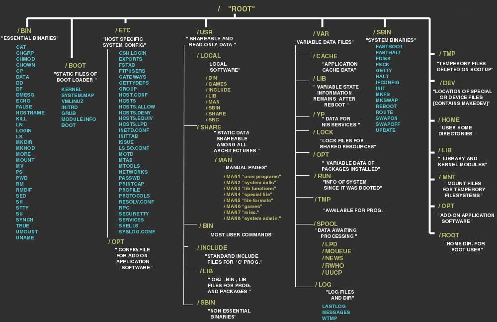 Linux 檔案系統目錄結構圖，深色背景上帶有彩色文字 — 電腦 GIF 壁紙