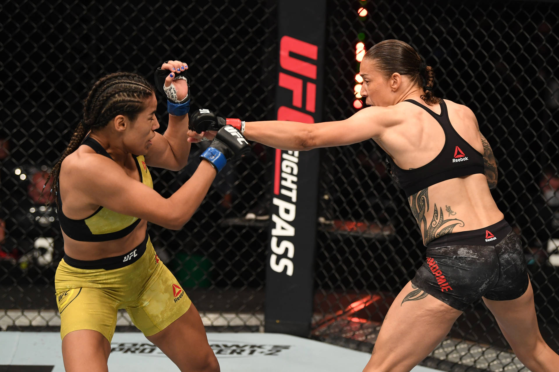 格梅因·德·蘭達米與茱莉安娜·佩納 壁紙 — 兩名女性MMA拳手在籠中交鋒，一人出拳，另一人阻擋。