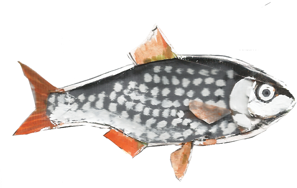 格紋鯰魚藝術作品 壁紙 — 一條風格化的魚，銀色斑點身體和橙色魚鰭，襯托在純黑背景上。
