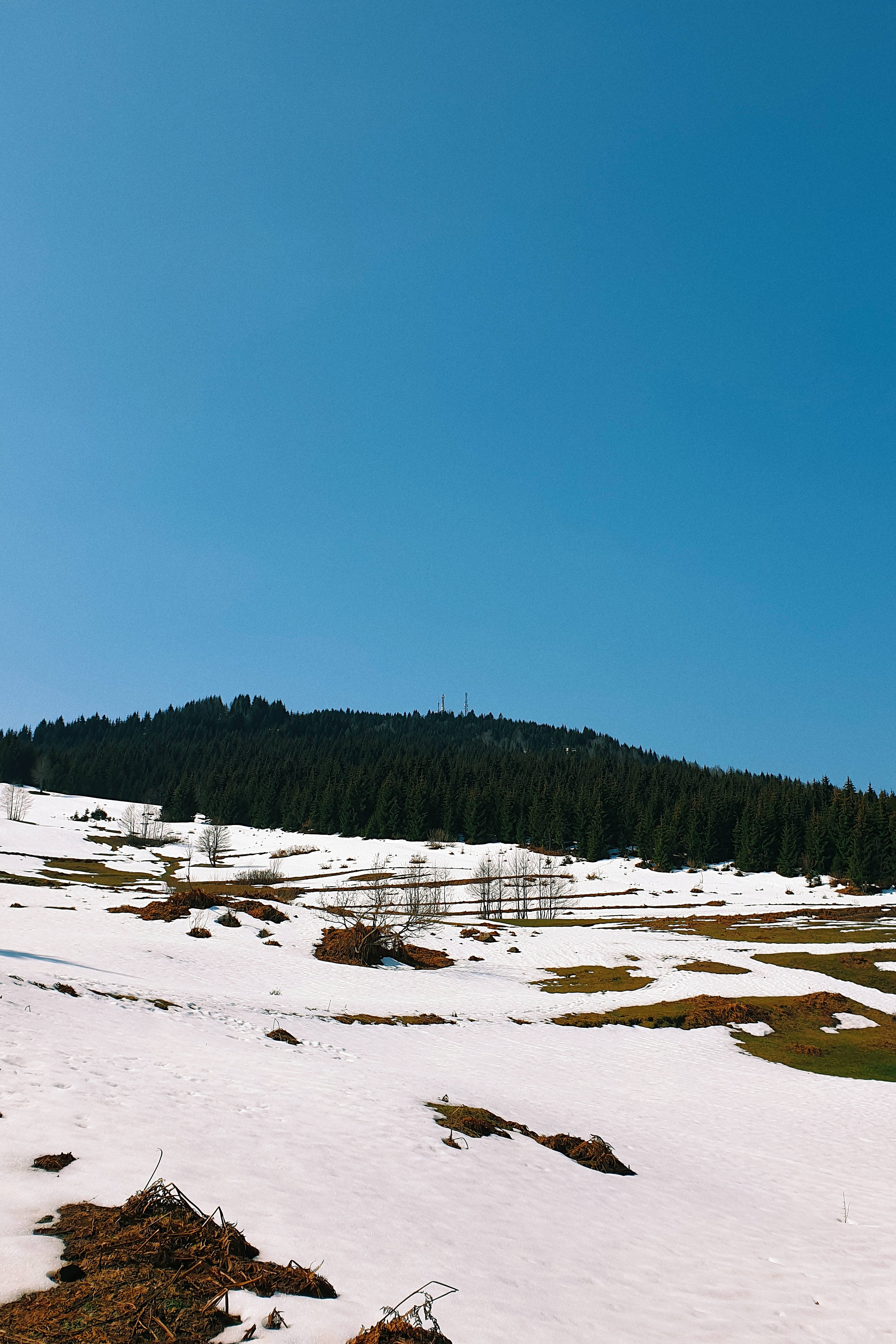 格魯吉亞戈馬魯迪利風景 壁紙 — 白雪覆蓋著陽光照耀的山坡，點綴著光禿的樹木和一片片綠草，天空清澈湛藍。