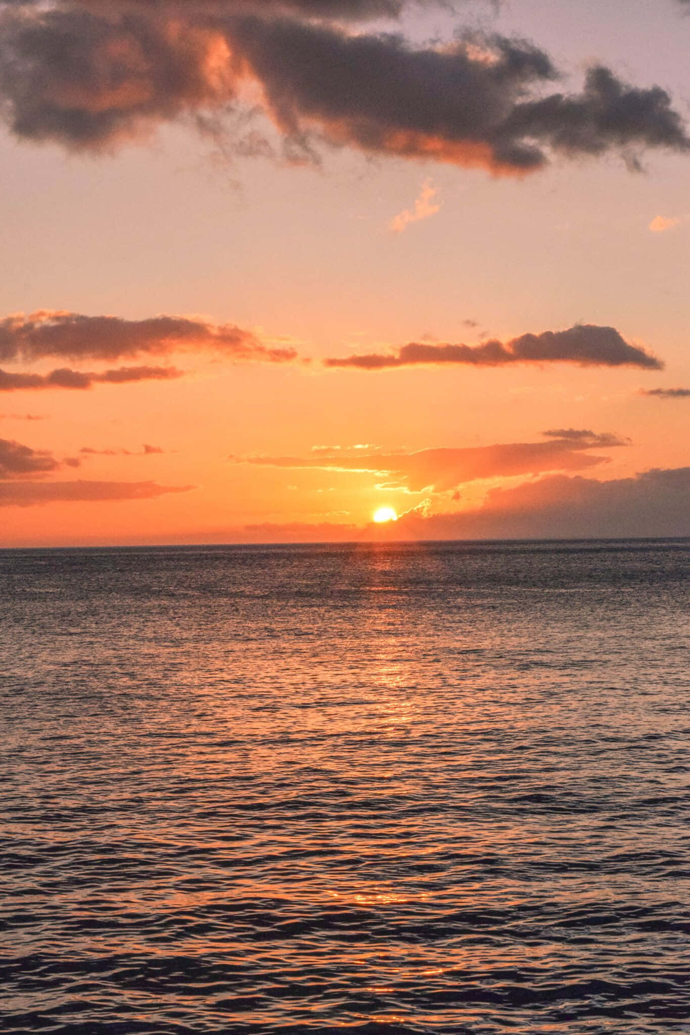 桃紅橙色天空的日落海灘圖 壁紙 — 平靜海面上的寧靜日落，鮮豔的橙色和粉紅色雲彩映照在溫柔的漣漪上。