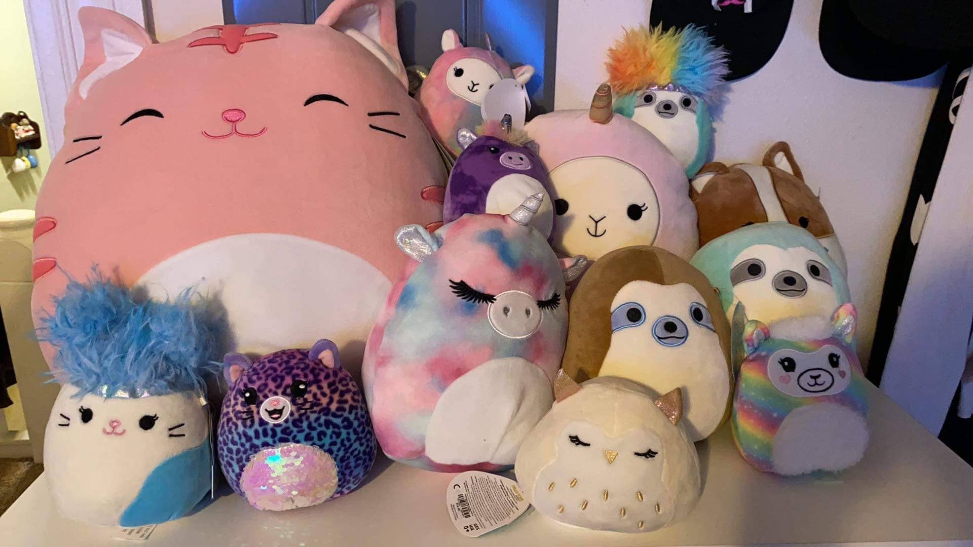 桌上 Squishmallows 玩具系列 壁紙 — 一系列色彩繽紛的超大毛絨玩具，擁有獨特的設計和表情，排列在白色表面上。