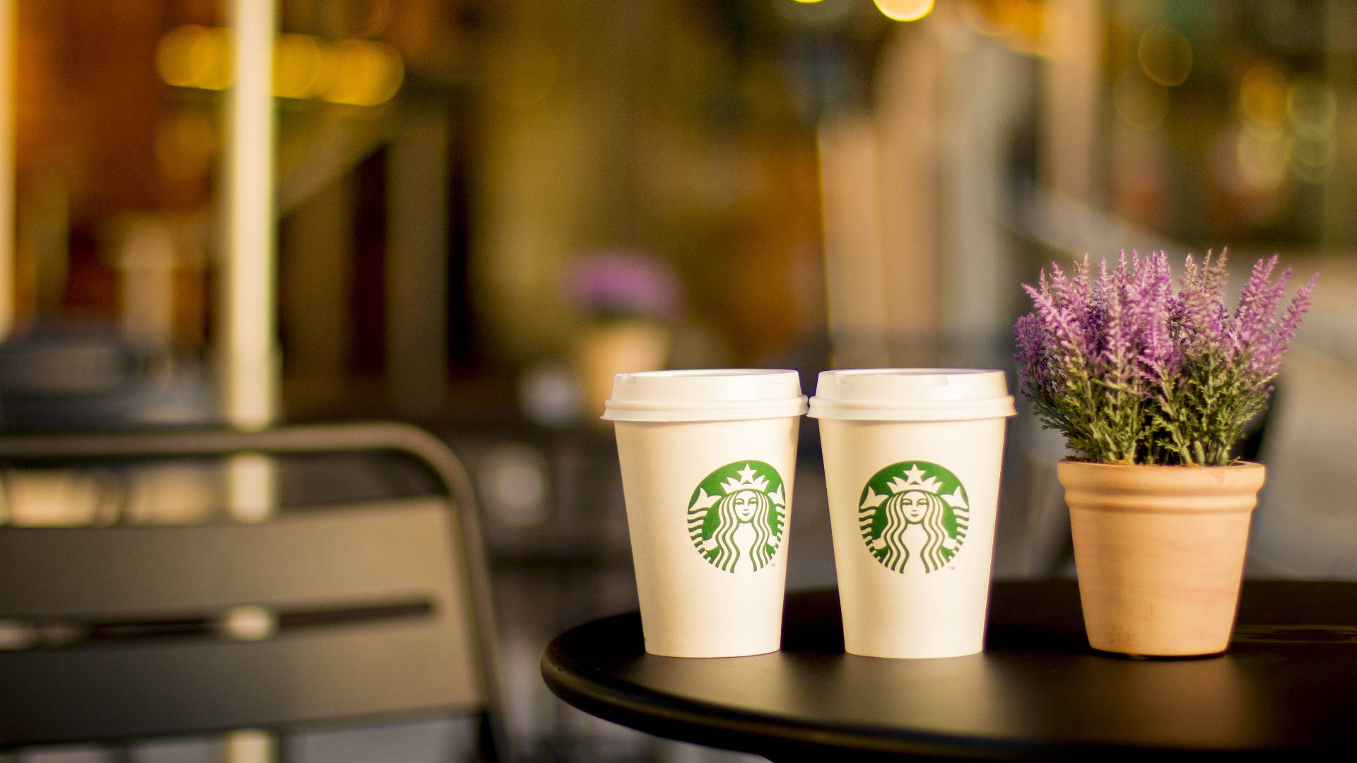 黃昏時分，咖啡館桌上放著兩杯Starbucks咖啡和一盆薰衣草。 — 星巴克 壁紙