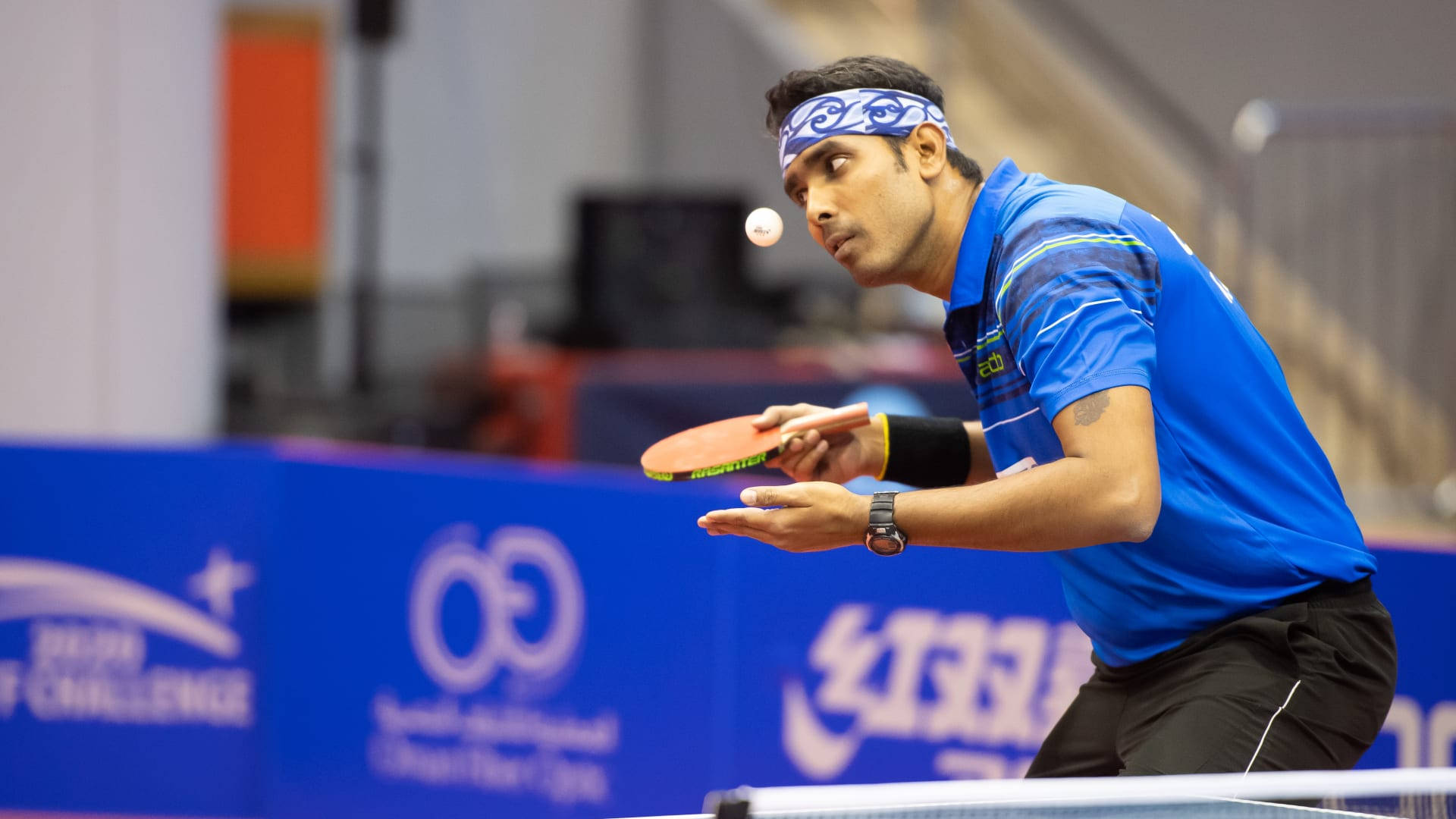 桌球專業選手 壁紙 — 一位專注的男性乒乓球選手，身穿藍色襯衫和頭帶，在室內比賽中用紅色球拍擊打白色球。