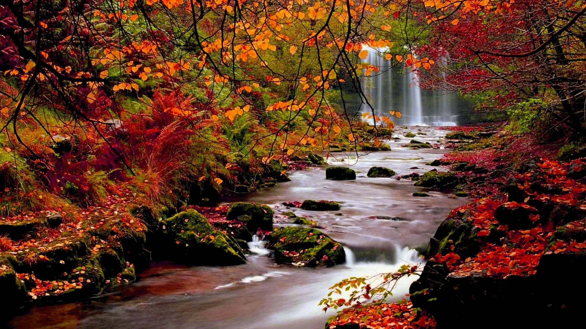 桌面背景 壁紙