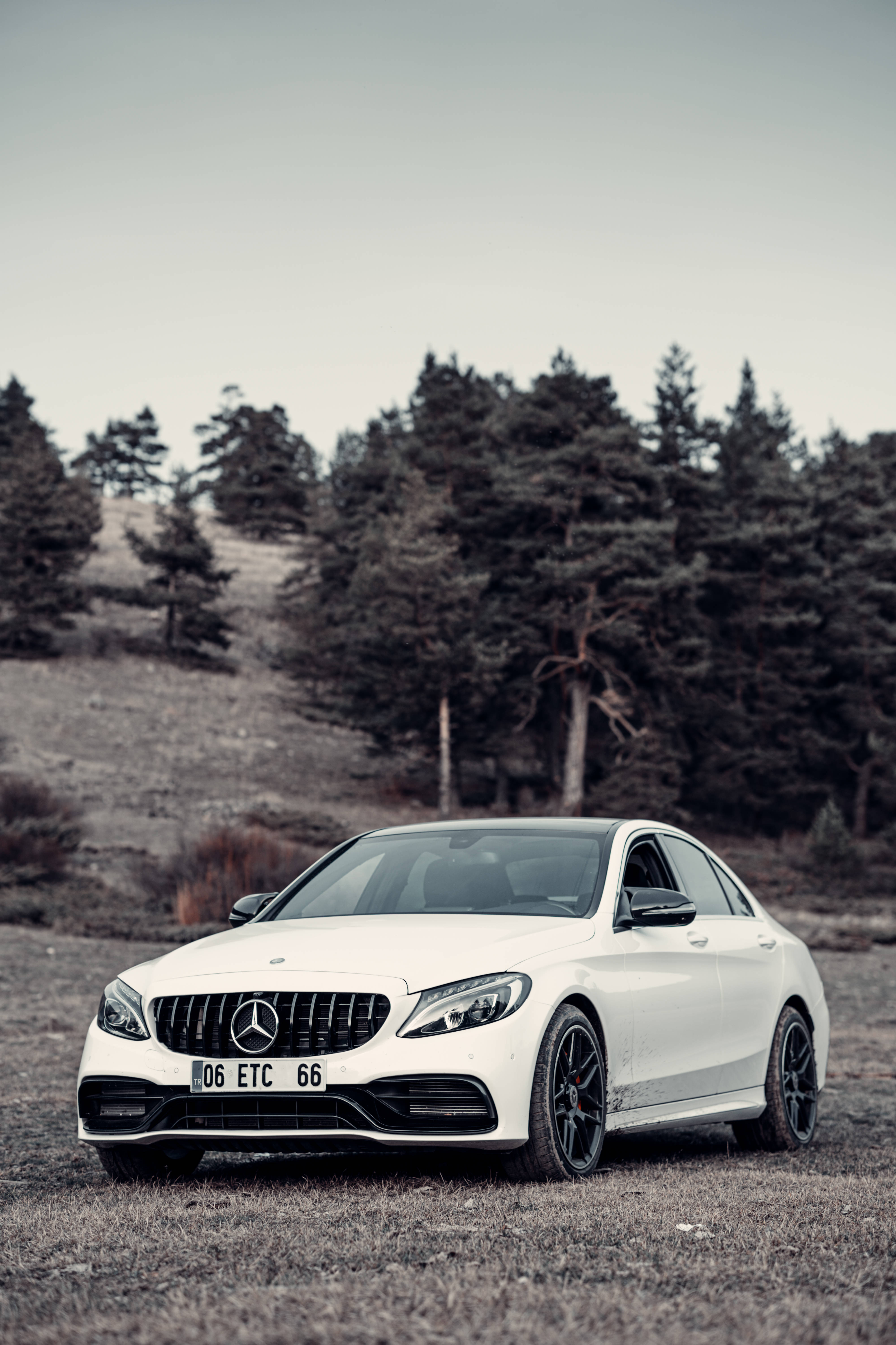 梅賽德斯-AMG 珍珠白車身 壁紙 — 一架時尚的白色平治房車停在草地上，背景是茂密的松樹林，天空多雲。