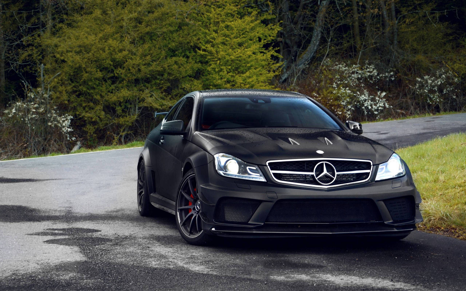 潮濕森林道路上的黑色 Mercedes-AMG C63，有綠色樹木和白色花朵。