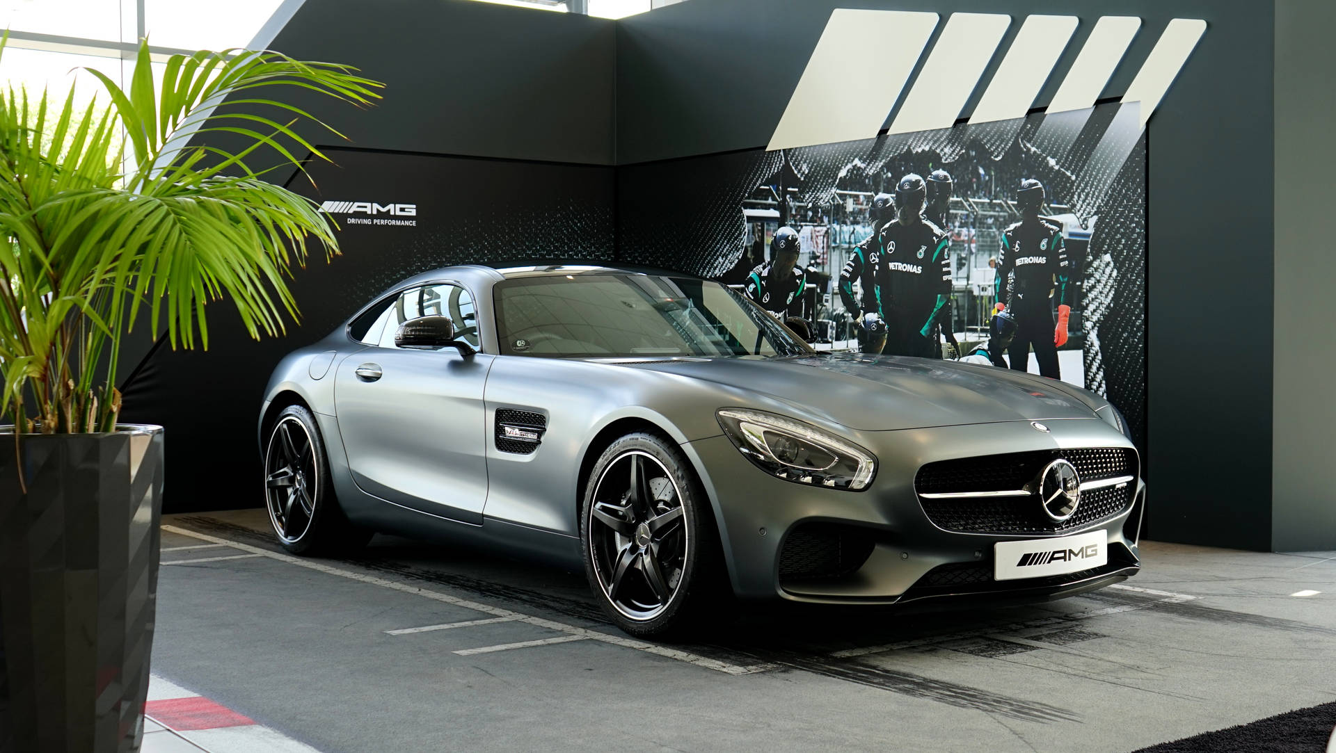 銀色 Mercedes-AMG GT 跑車在展廳內，配有賽車牆面藝術和一棵盆栽棕櫚樹。