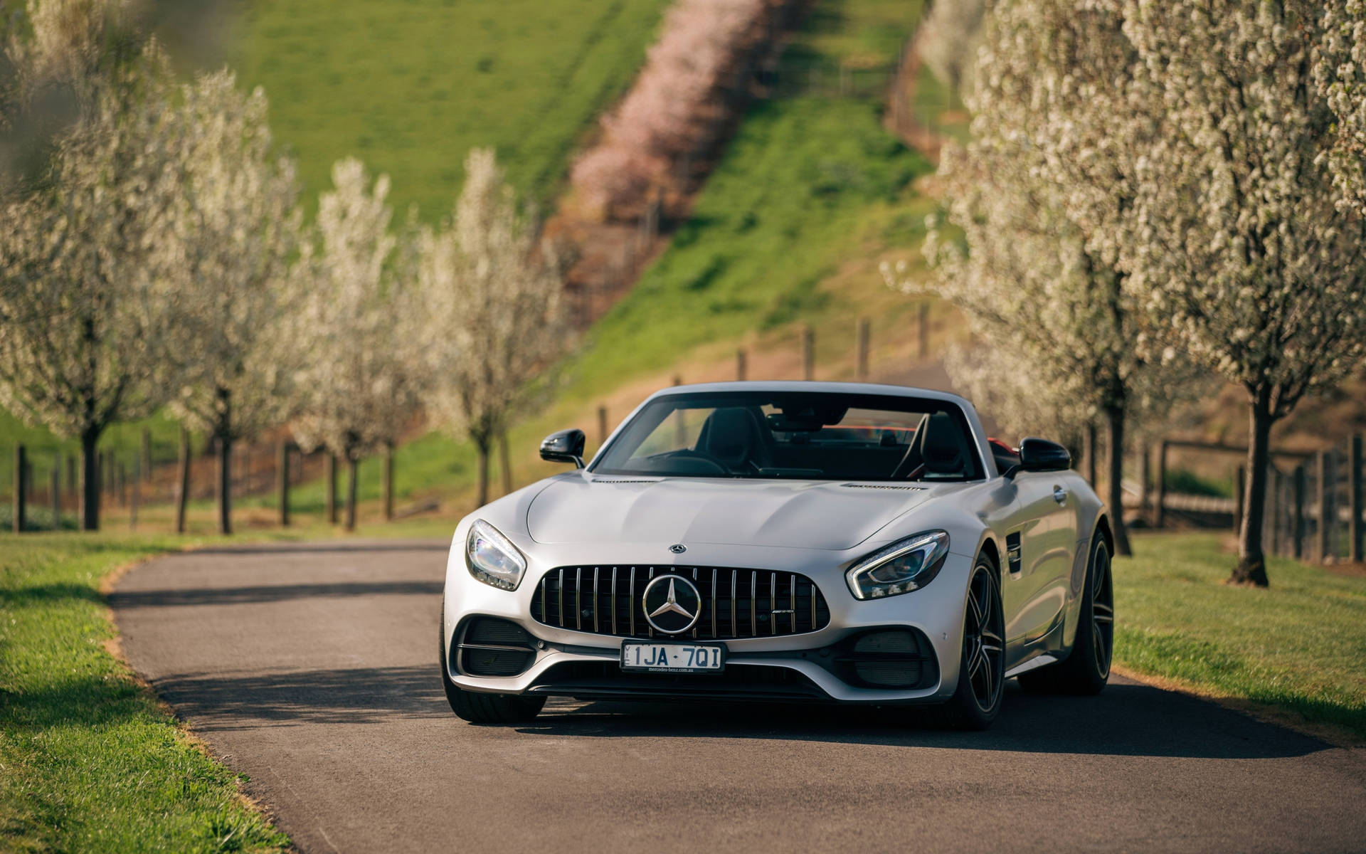 銀色 Mercedes-AMG GT Roadster 行駛在開滿鮮花的風景如畫的鄉村道路上。
