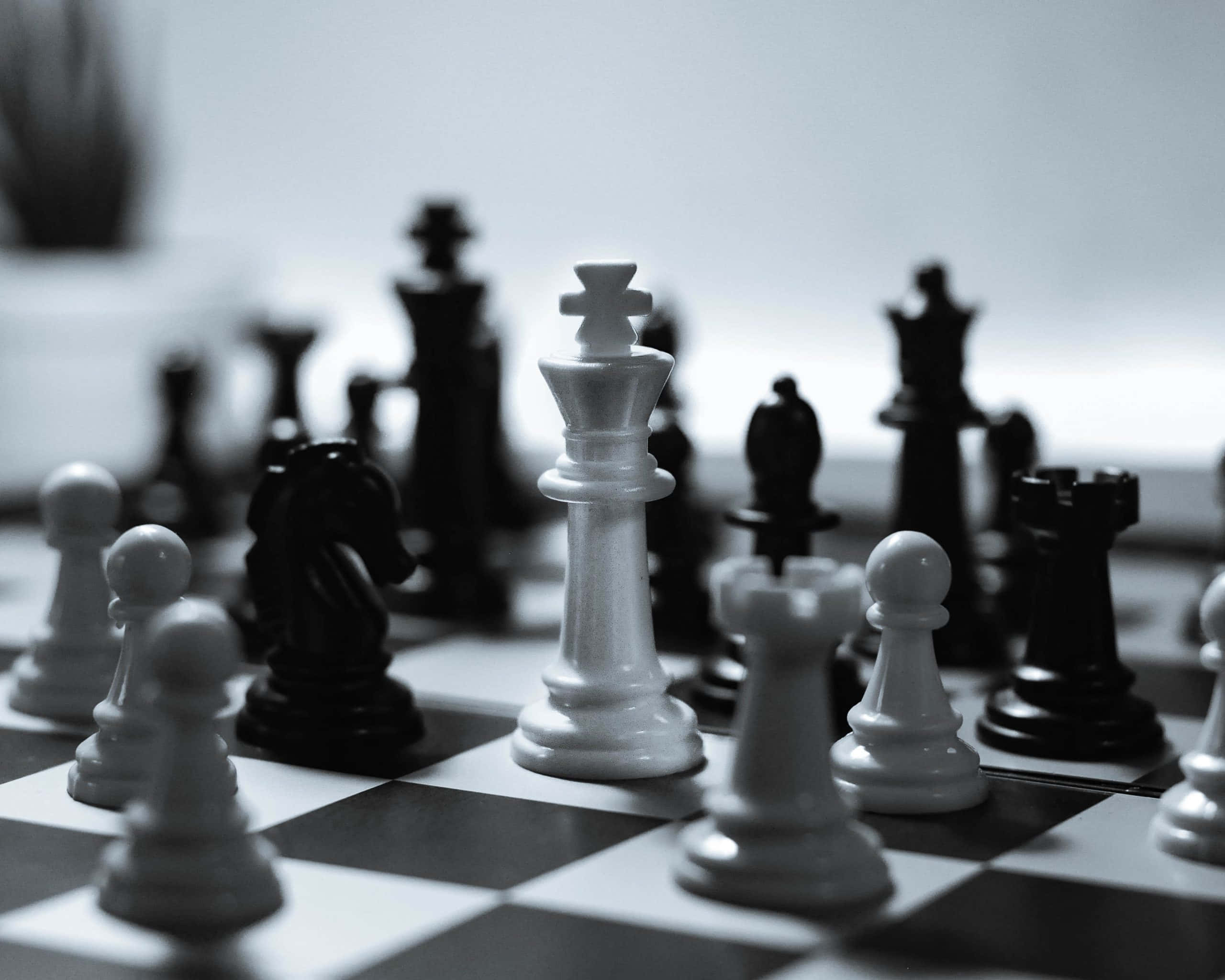 Black And White Chess 桌布 壁紙 — 棋盤上棋子的單色特寫，景深較淺，突出白王。