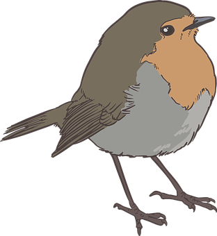 棕橙色插畫風格雀鳥 壁紙