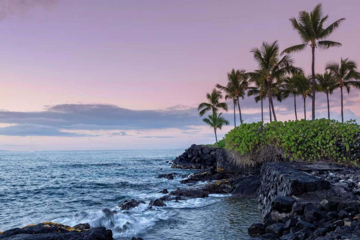 Hawaiian Island 桌布 壁紙 — 棕櫚樹在黃昏時分在岩石懸崖上搖曳，海浪拍打火山石，天空呈現柔和的粉紅色和紫色。